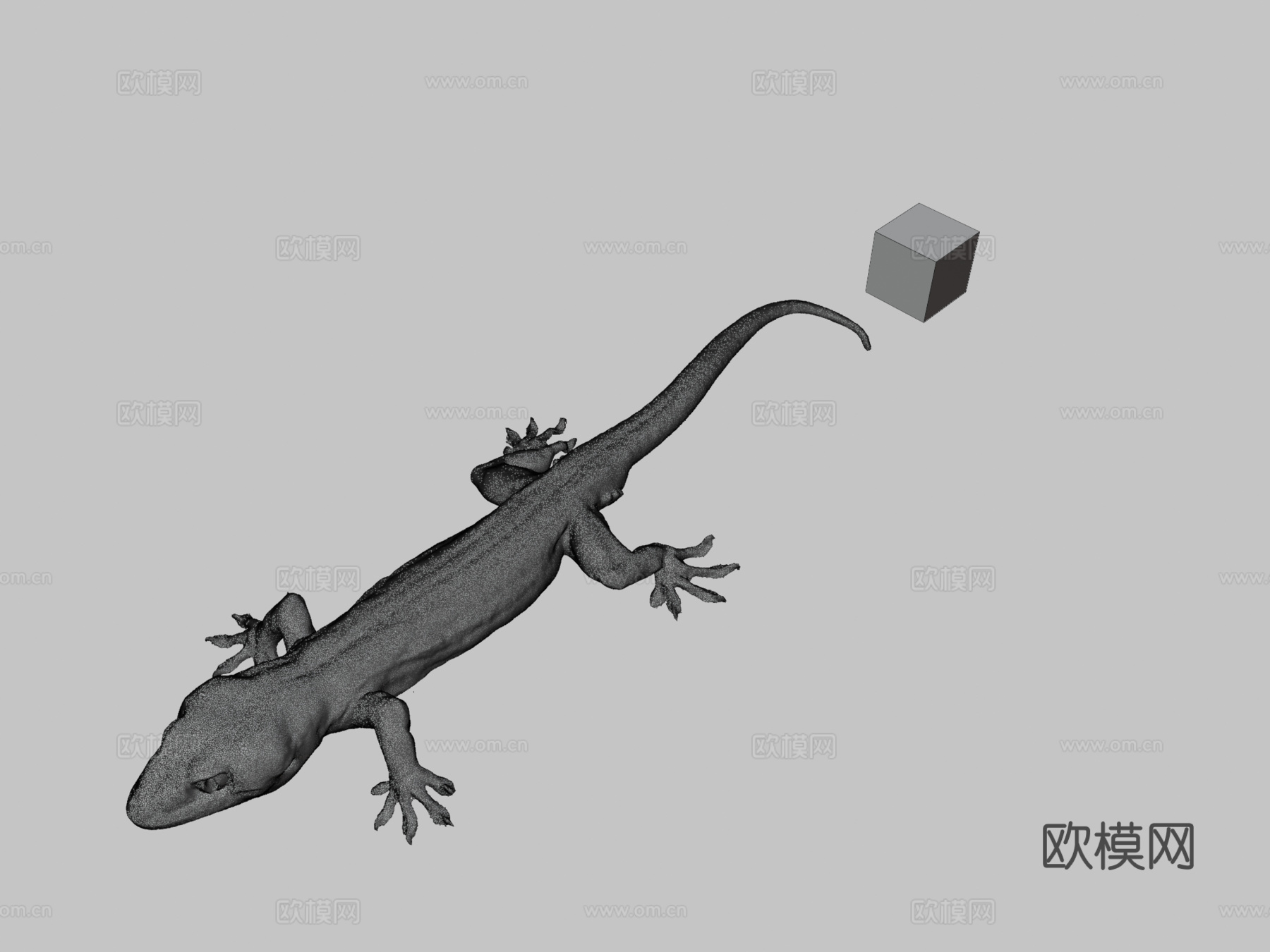 CC0日本壁虎3d模型下载（渲染图3）