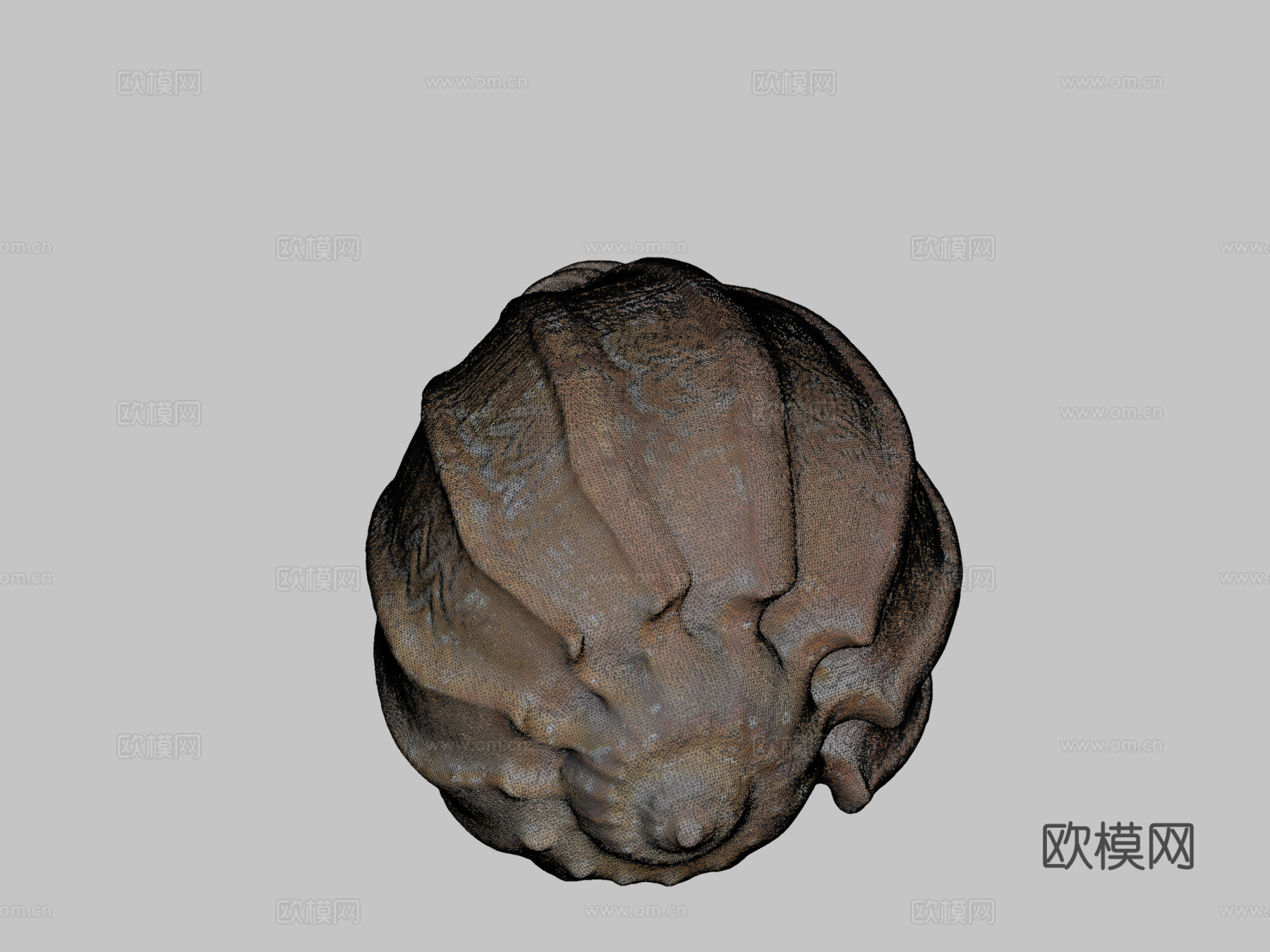 贝壳3d模型下载（渲染图2）