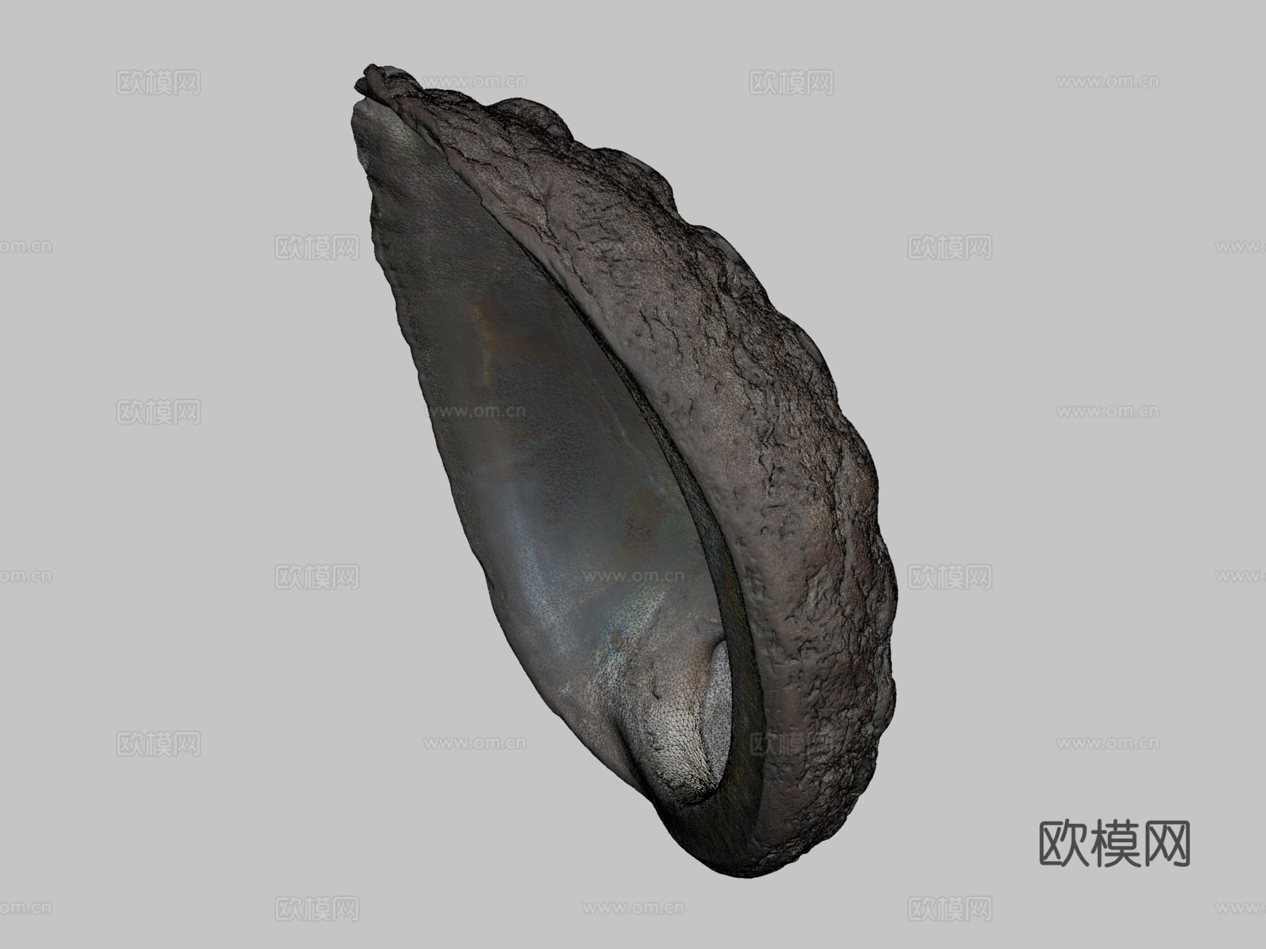鲍鱼壳3d模型下载（渲染图2）