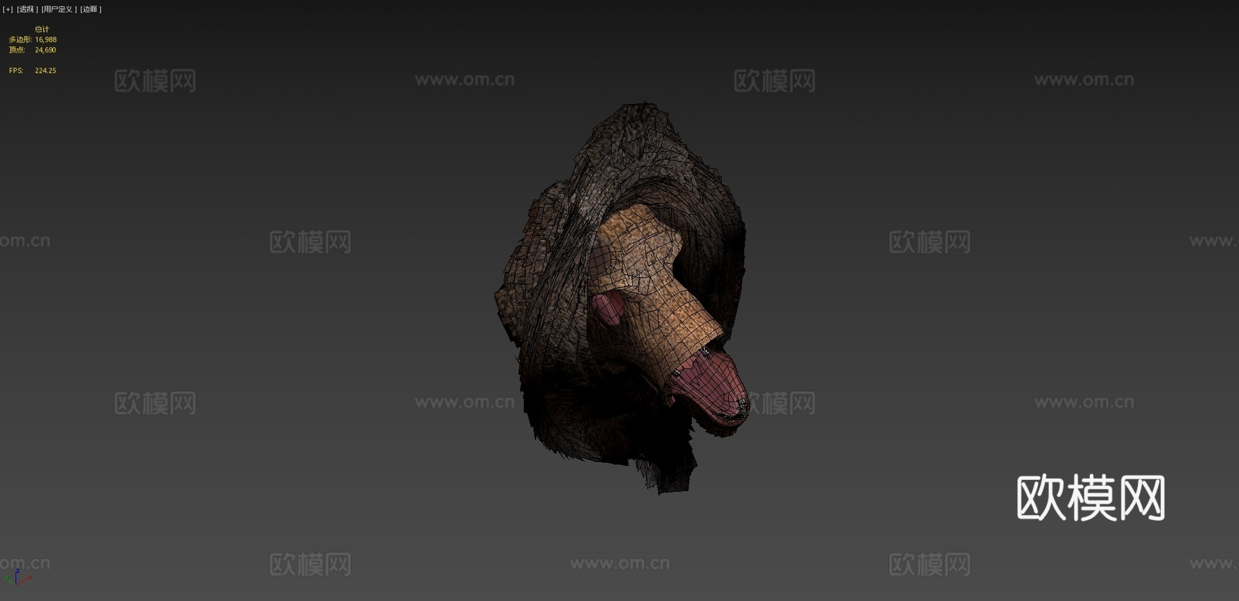 逼真驼鹿3d模型下载（渲染图4）