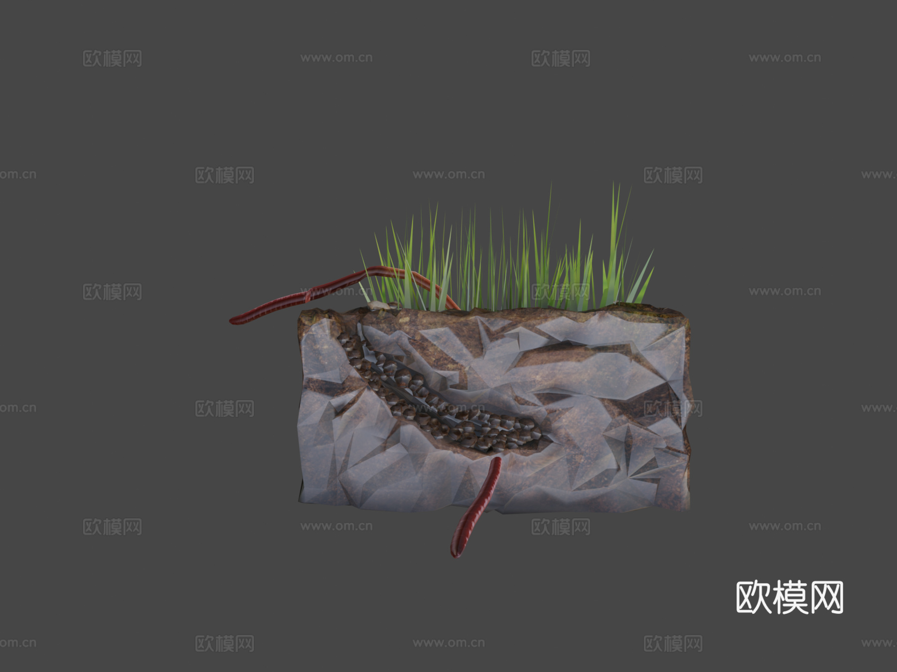 蚯蚓3d模型下载（渲染图7）