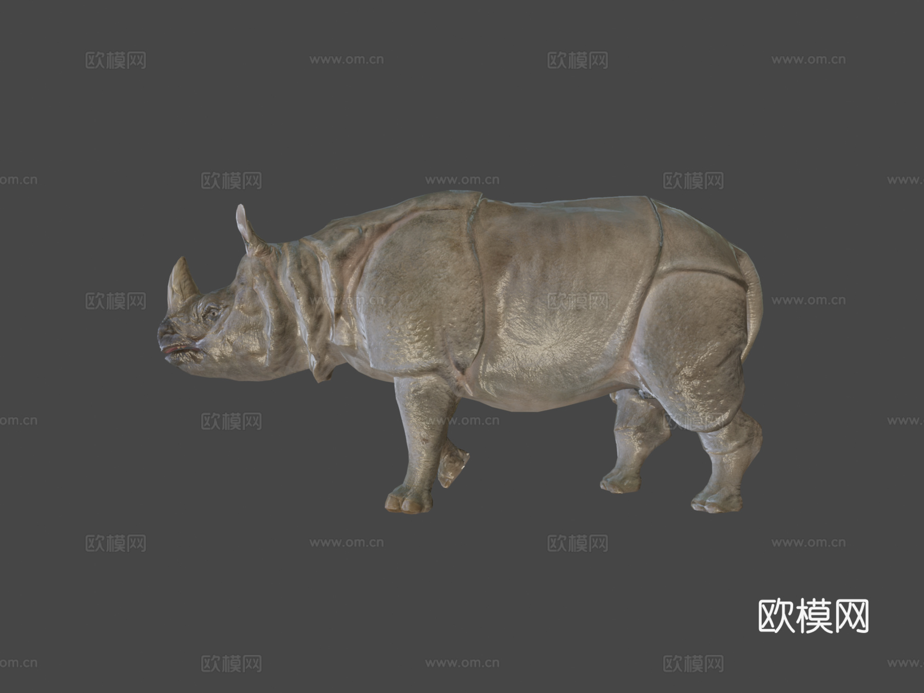印度犀牛-游戏就绪-3d模型3d模型下载（渲染图8）