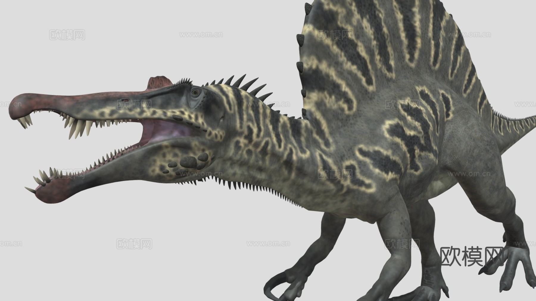 棘龙23d模型下载（渲染图1）