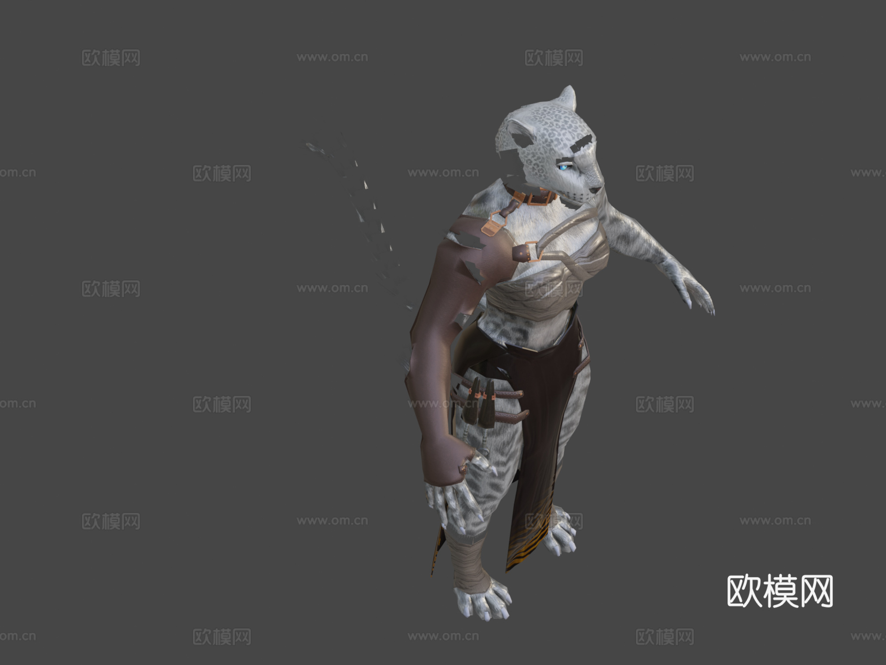 敌锤有限责任公司的猫形刺客3d模型下载（渲染图7）