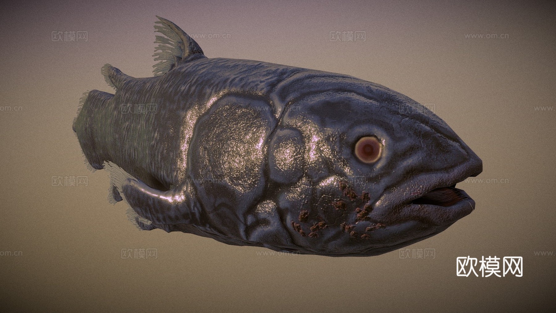 腔棘鱼3d模型下载（渲染图1）
