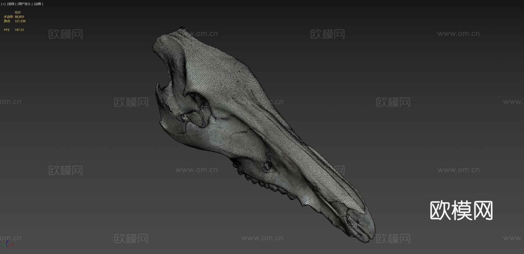 野猪头骨3d模型下载（渲染图4）