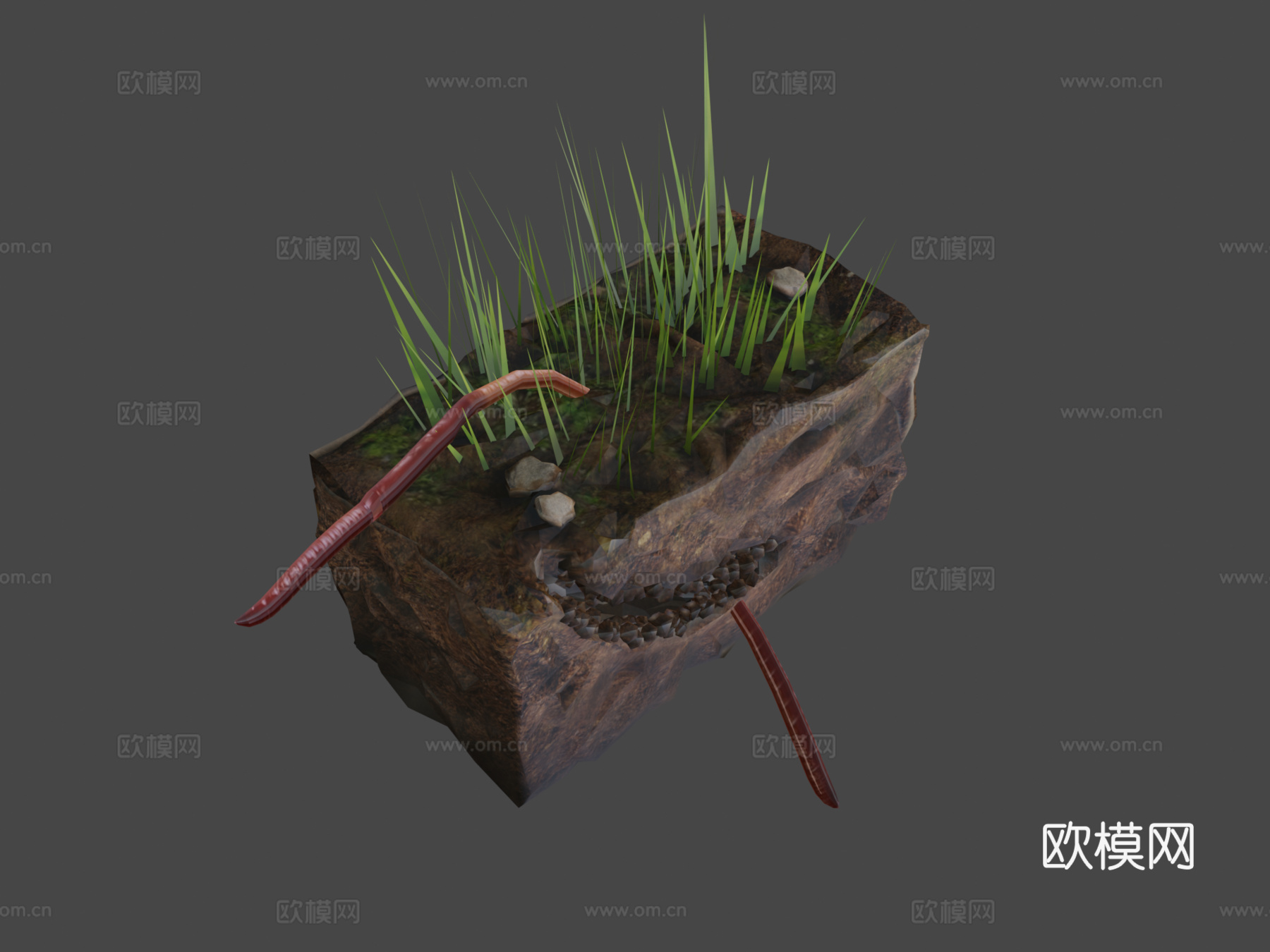 蚯蚓3d模型下载（渲染图8）