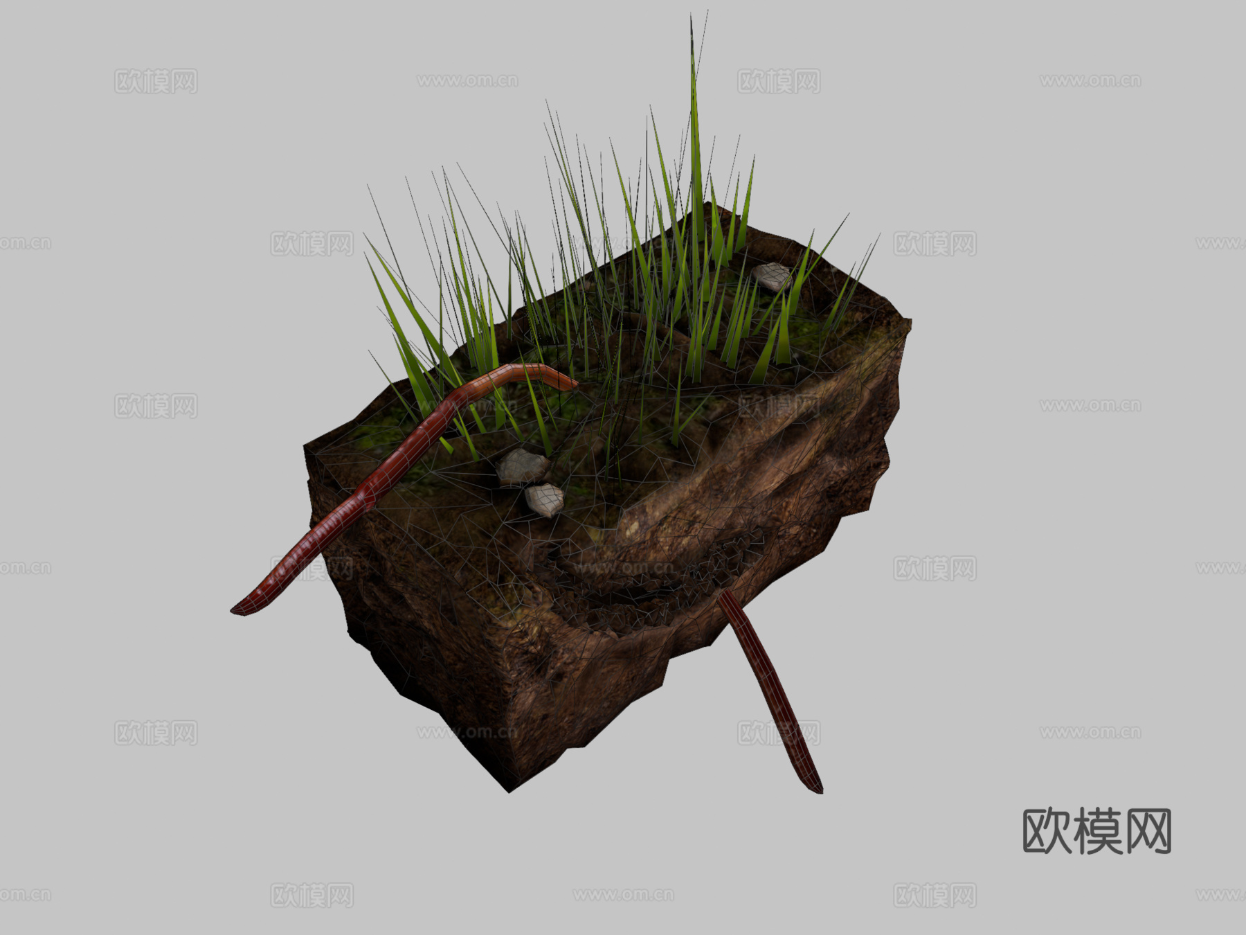 蚯蚓3d模型下载（渲染图2）