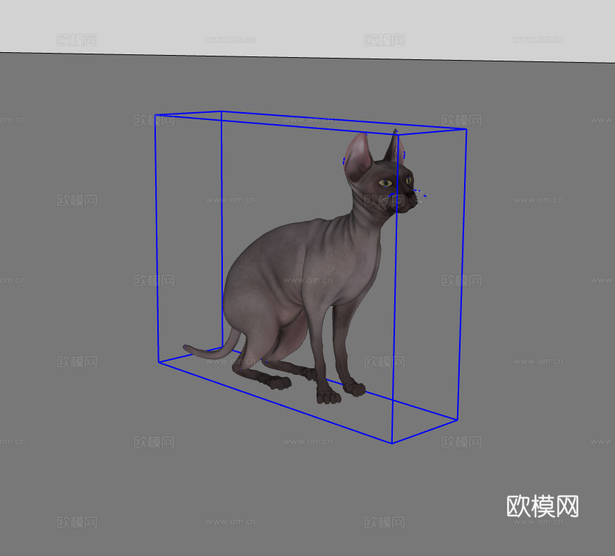 猫su模型