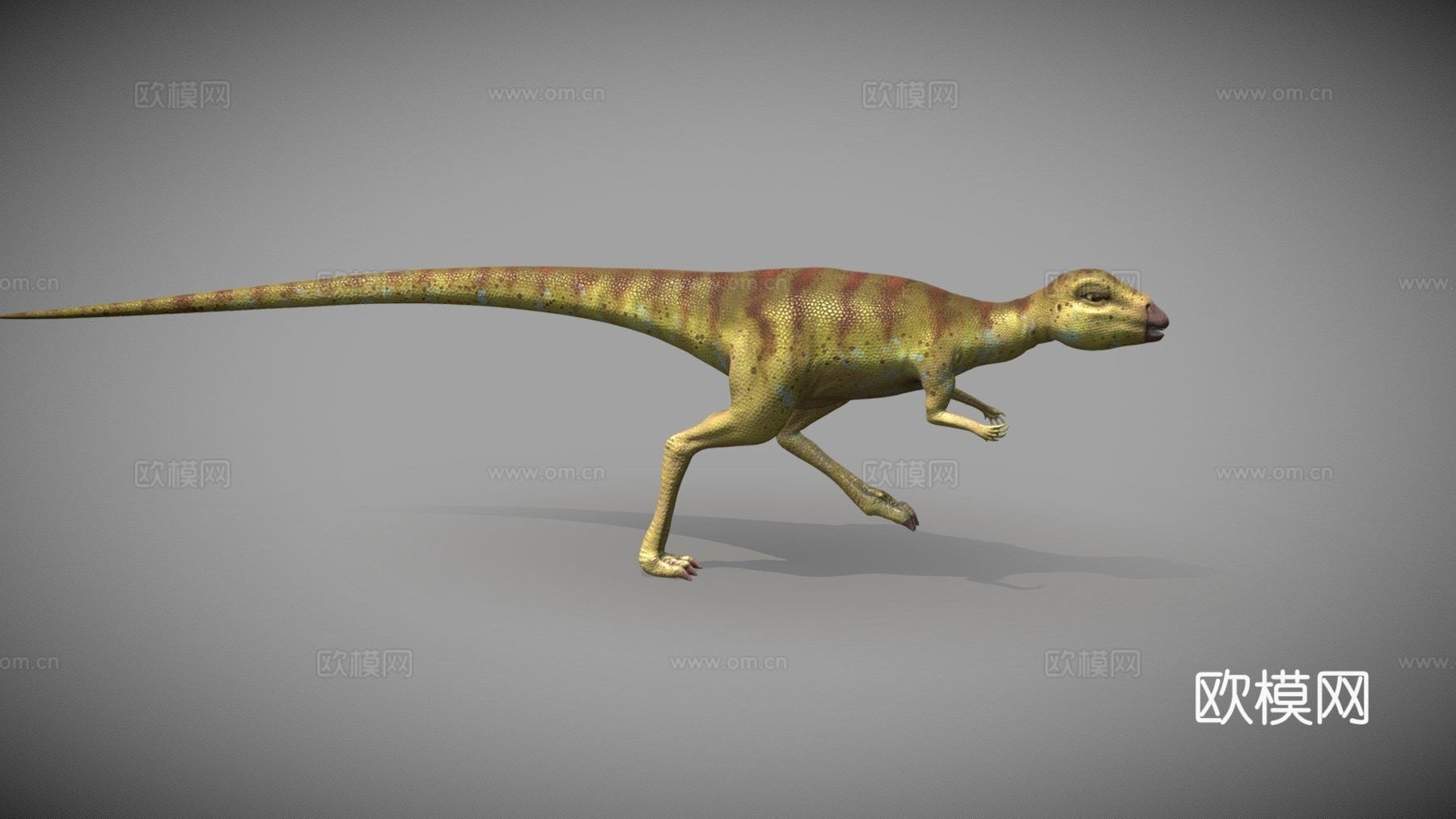恐龙-利艾林纳龙-行走动画3d模型下载（渲染图1）