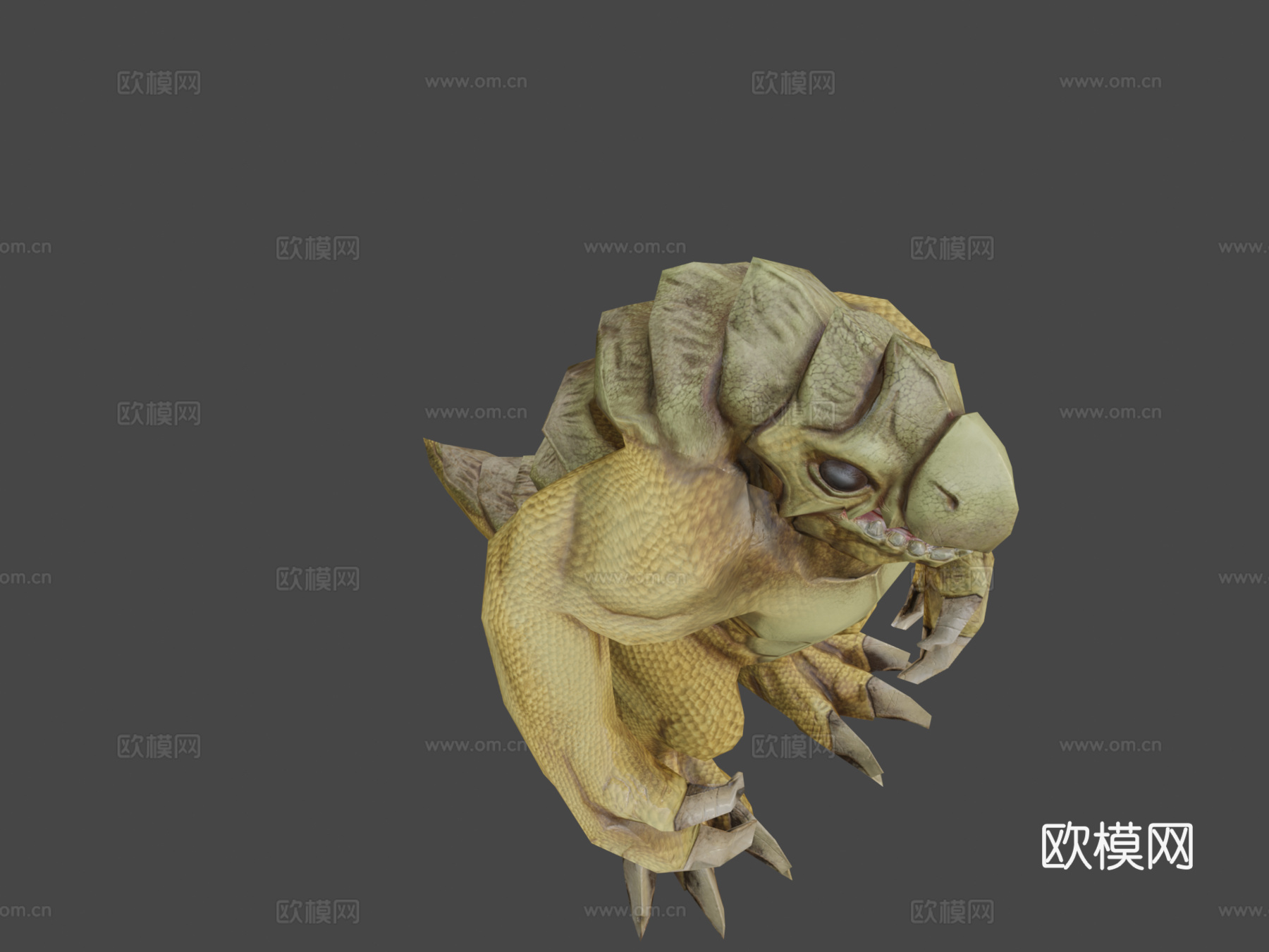 沙漠蜥蜴3d模型下载（渲染图7）