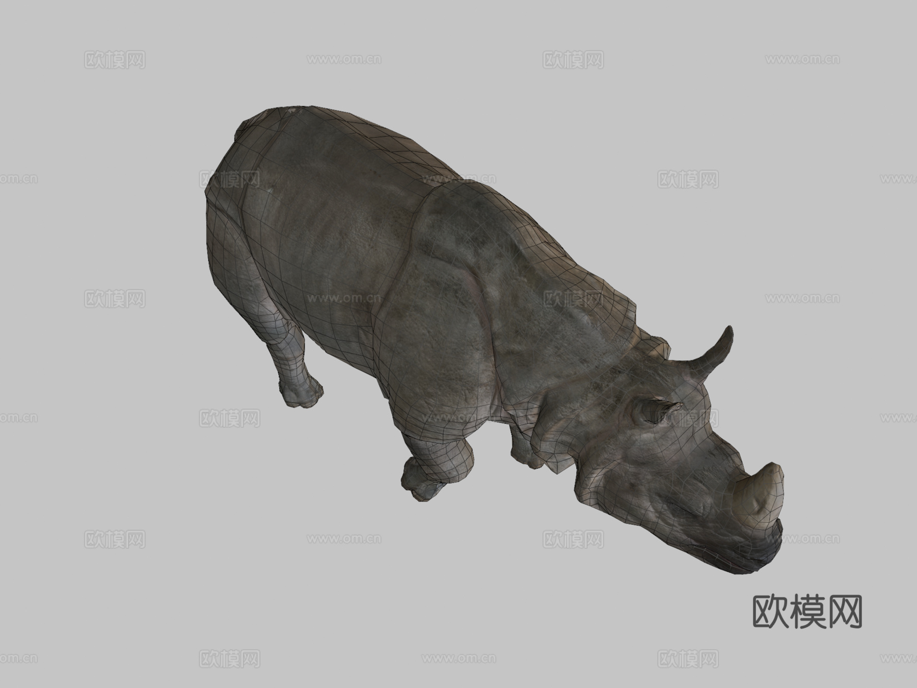 印度犀牛-游戏就绪-3d模型3d模型下载（渲染图2）