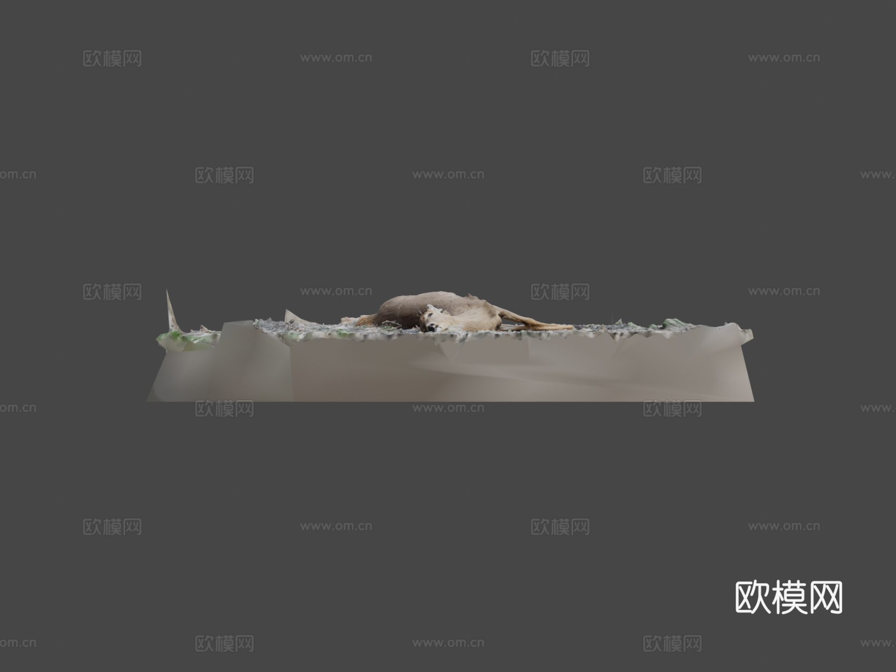 白尾鹿尸体原始扫描3d模型下载（渲染图6）