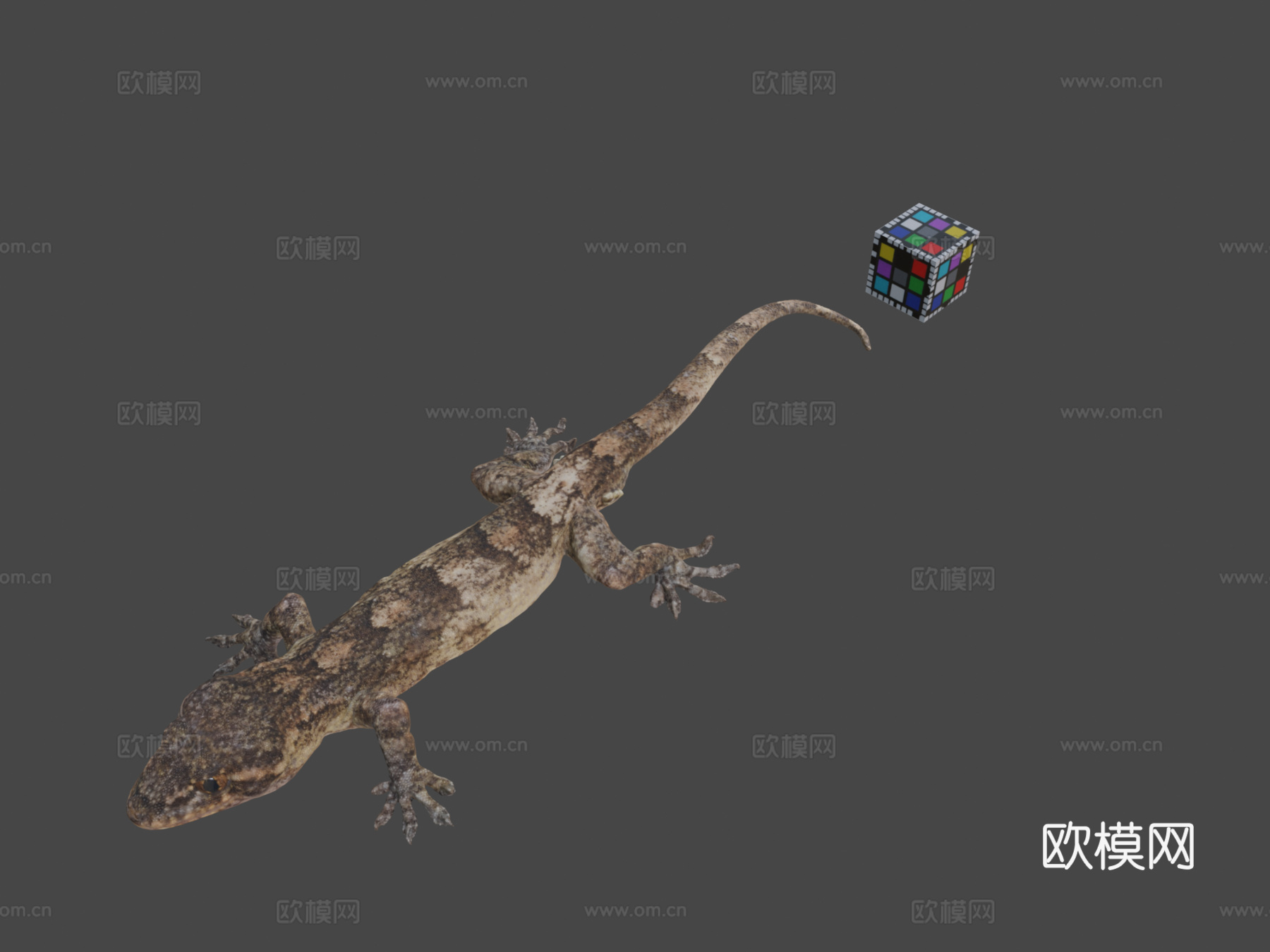 CC0日本壁虎3d模型下载（渲染图1）