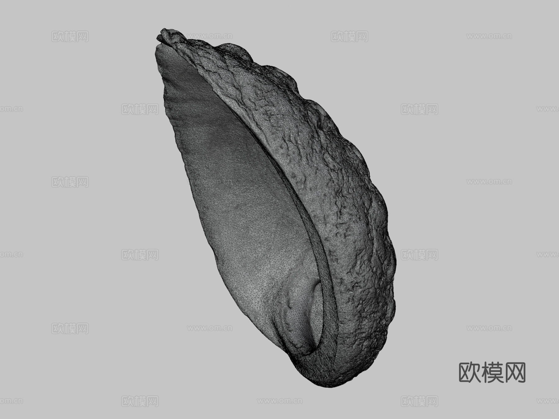 鲍鱼壳3d模型下载（渲染图4）