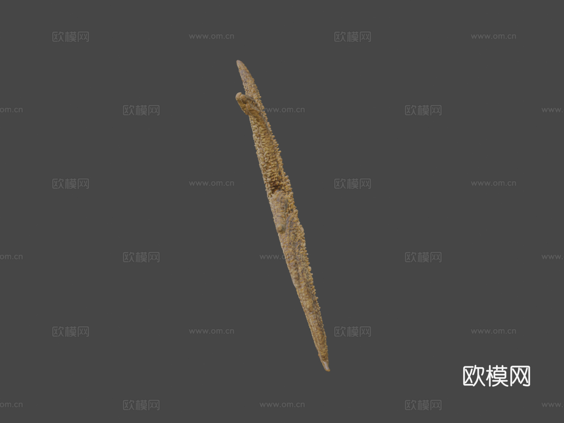 向日葵海星3d模型下载（渲染图5）