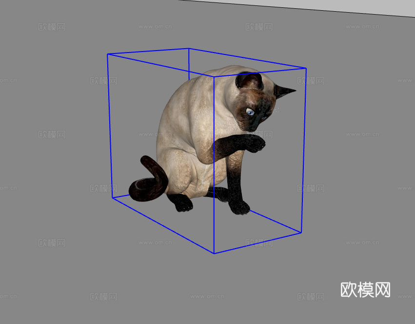 猫su模型