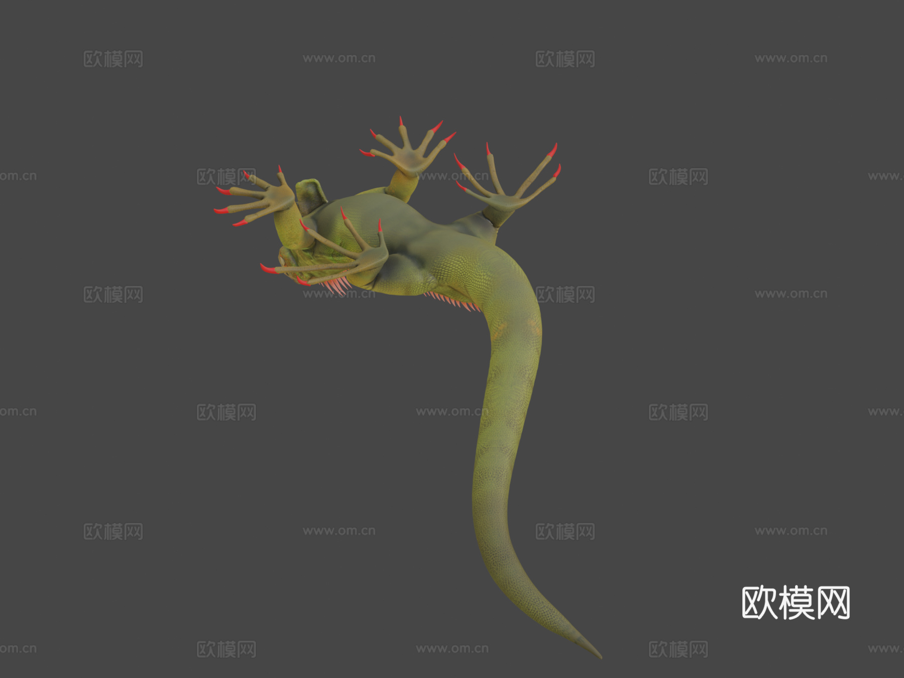 鬣蜥3d模型下载（渲染图7）