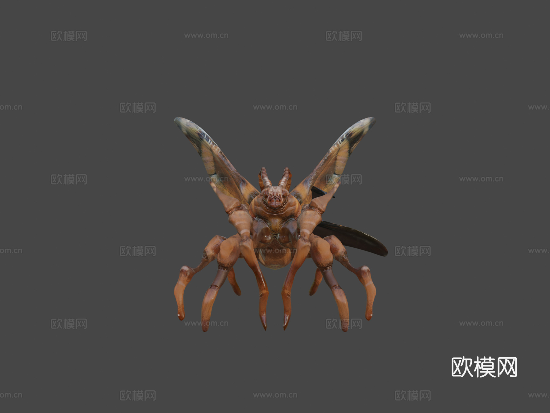 蛾类生物3d模型下载（渲染图5）