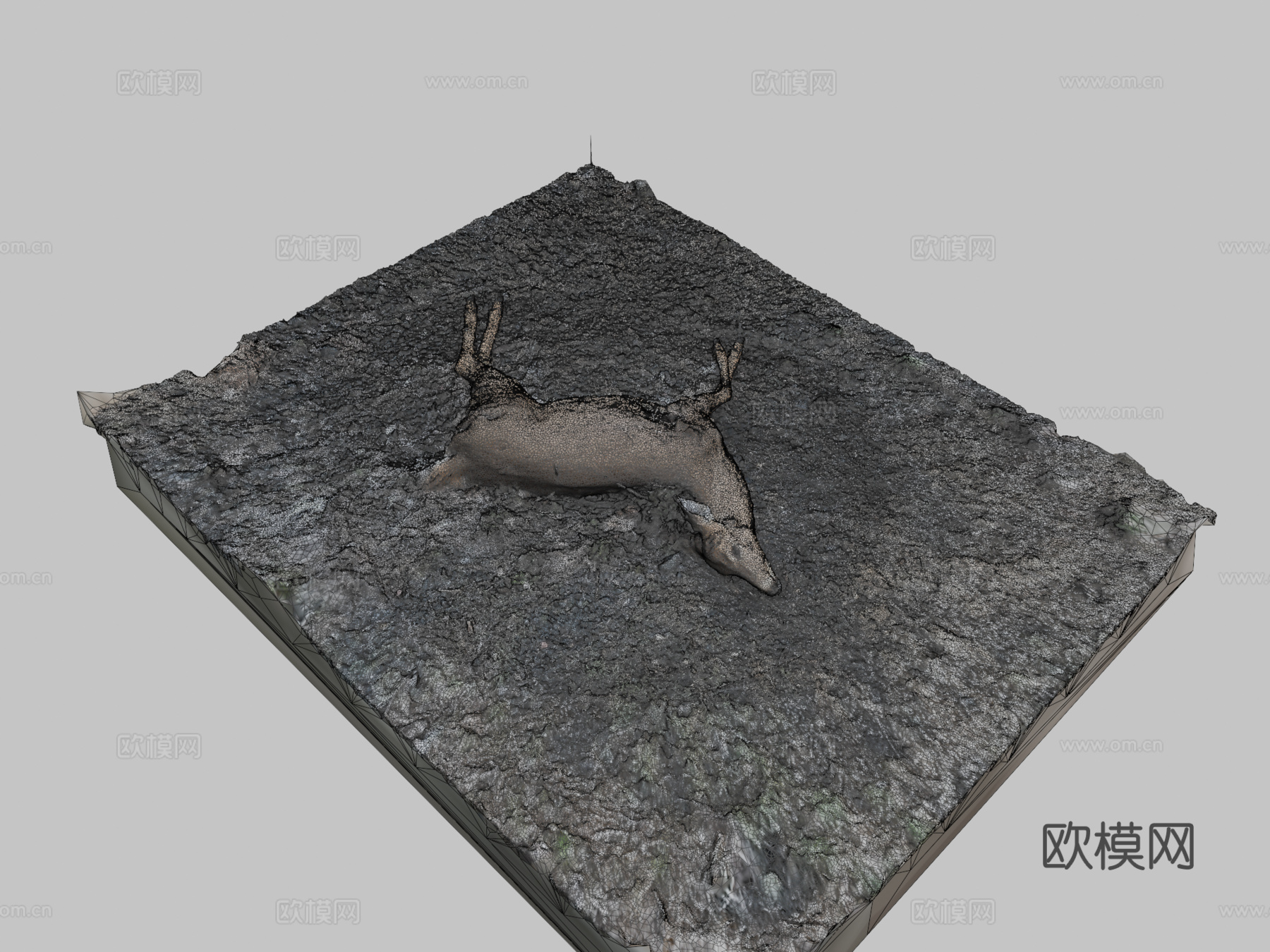 白尾鹿尸体原始扫描3d模型下载（渲染图2）