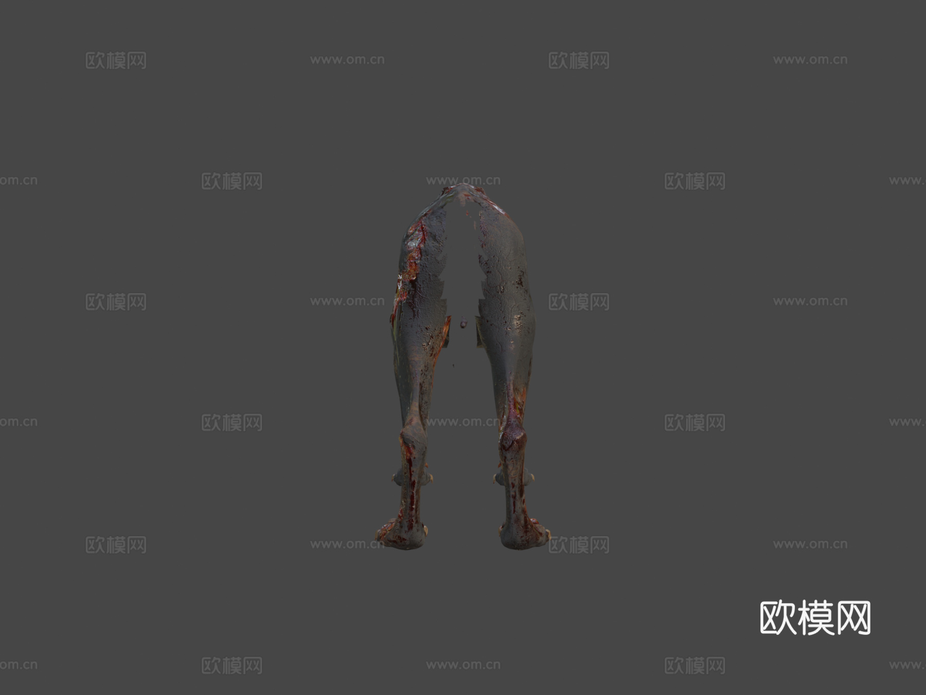 狼3d模型下载（渲染图5）