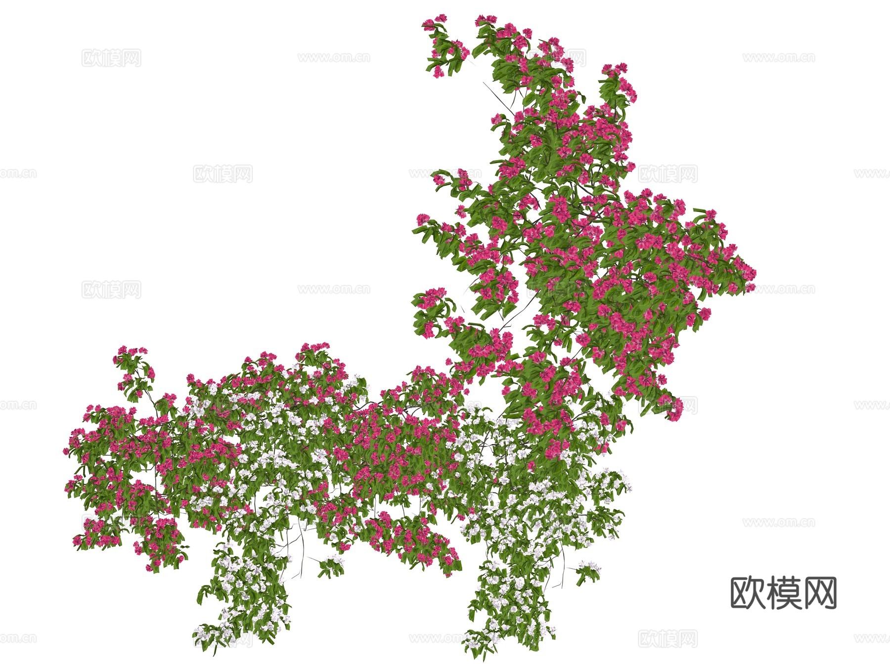 现代藤蔓花墙植物su模型su模型