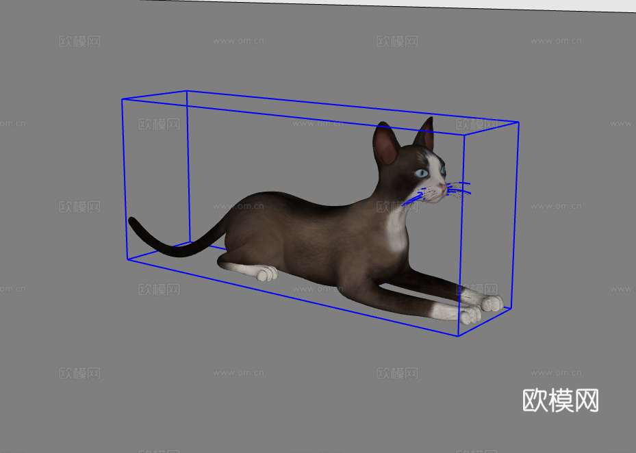 猫su模型