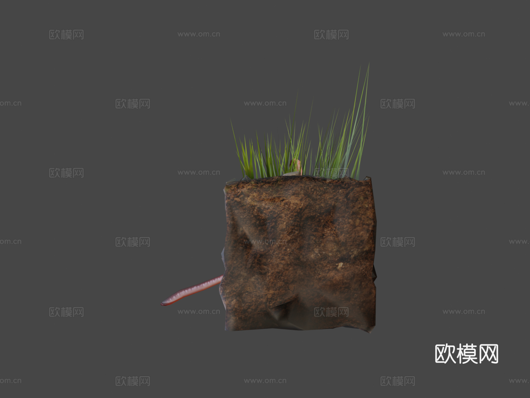 蚯蚓3d模型下载（渲染图6）