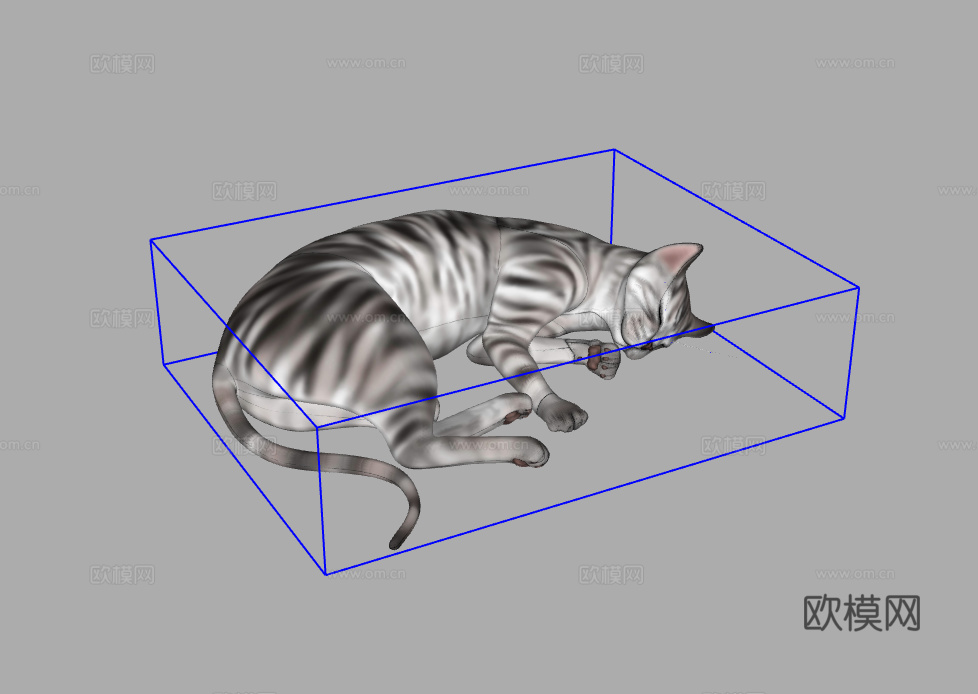 猫su模型