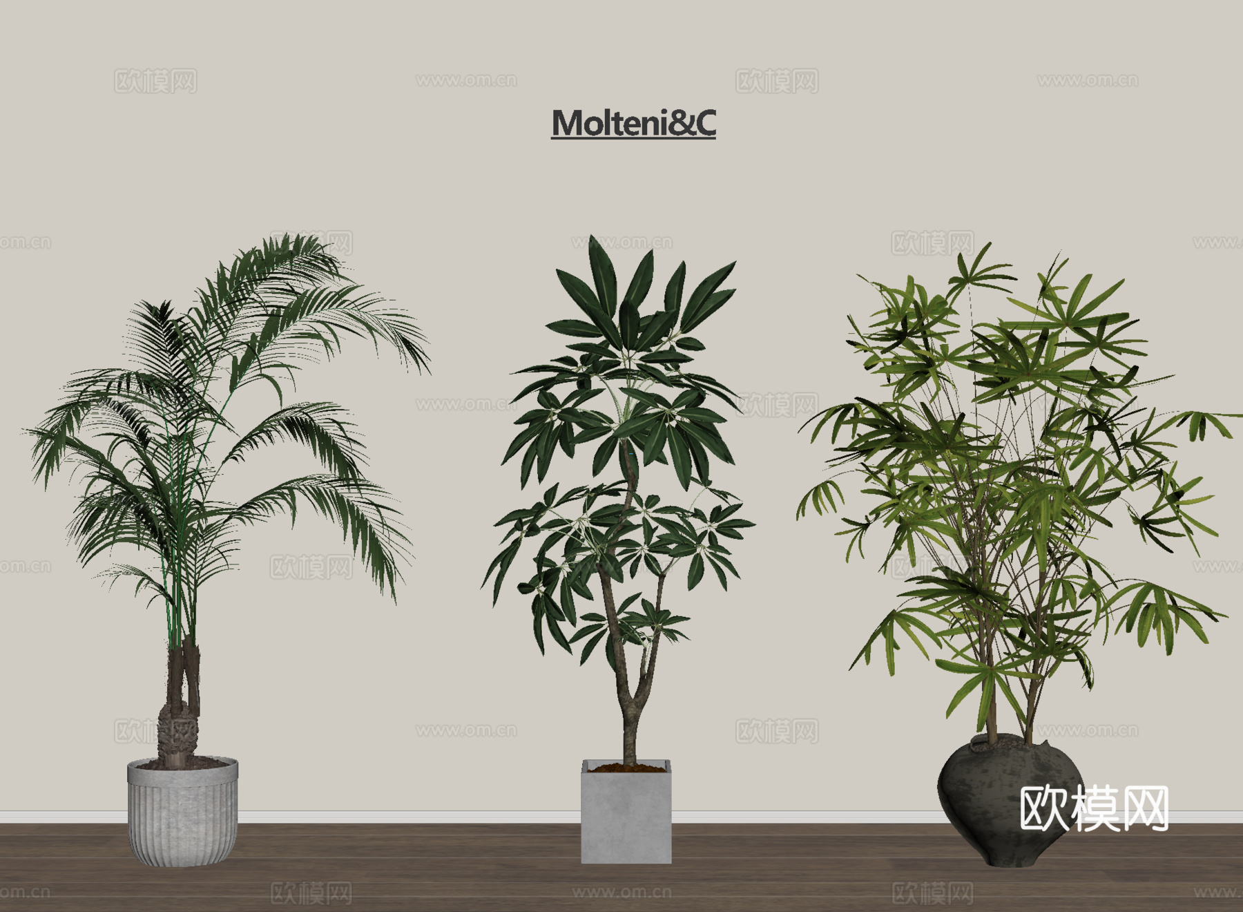 家居绿植组合 盆栽绿植 植物盆栽su模型