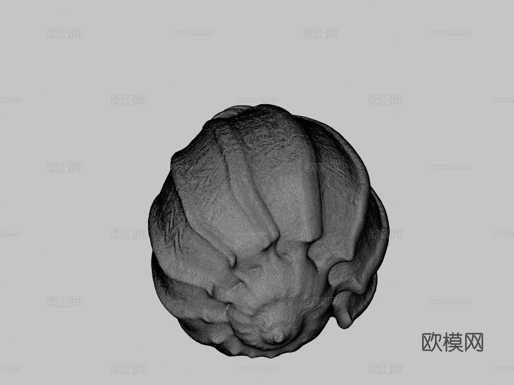 贝壳3d模型下载（渲染图3）