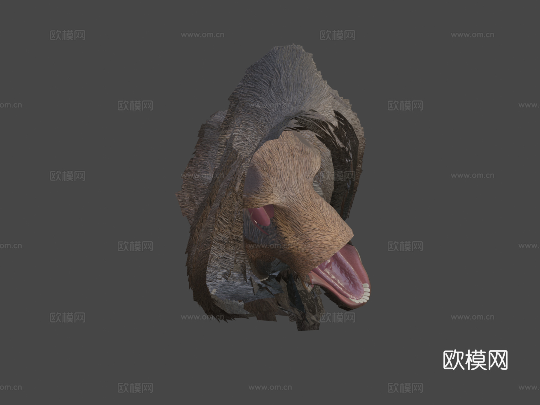 逼真驼鹿3d模型下载（渲染图8）