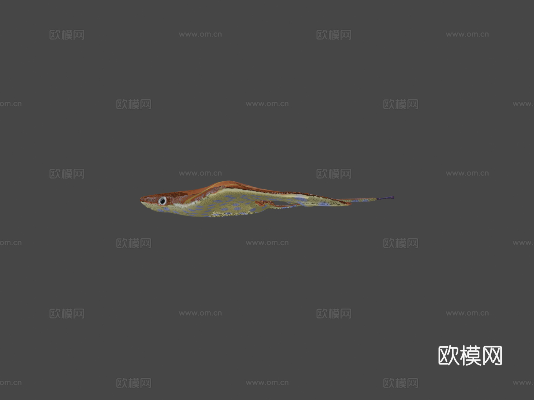 柠檬鳐3d模型下载（渲染图5）