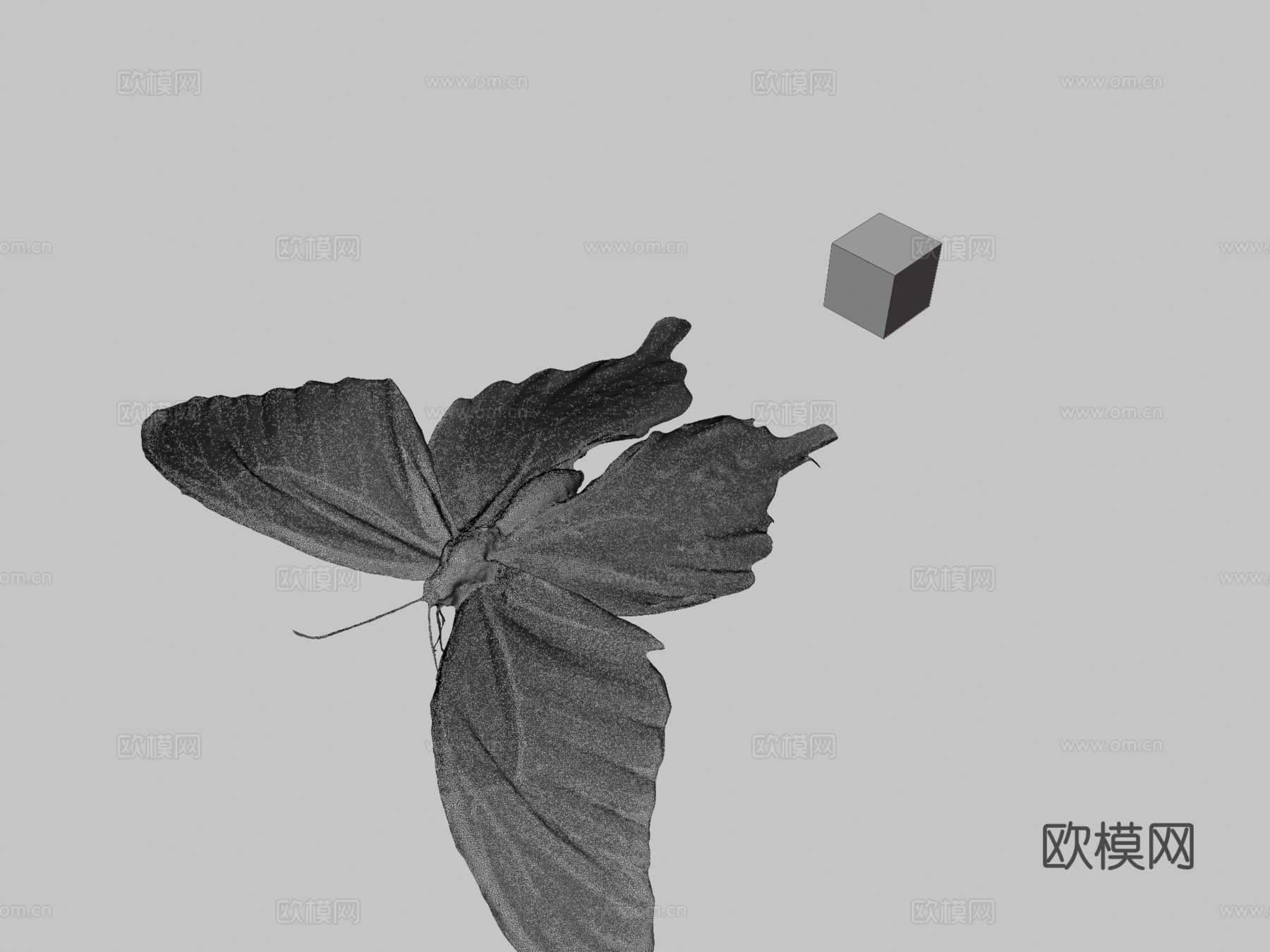 CC0柑橘凤蝶?玉带凤蝶3d模型下载（渲染图3）