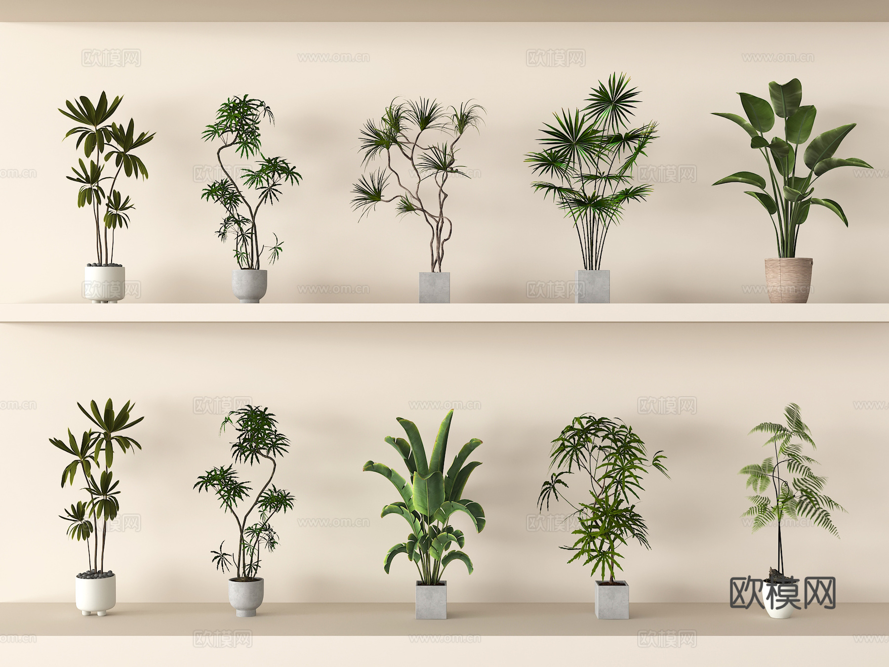 家居绿植组合 盆栽绿植 植物盆栽3d模型下载