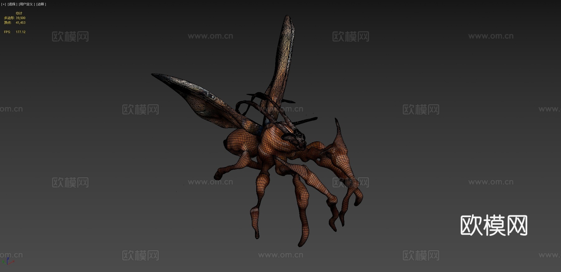 蛾类生物3d模型下载（渲染图4）