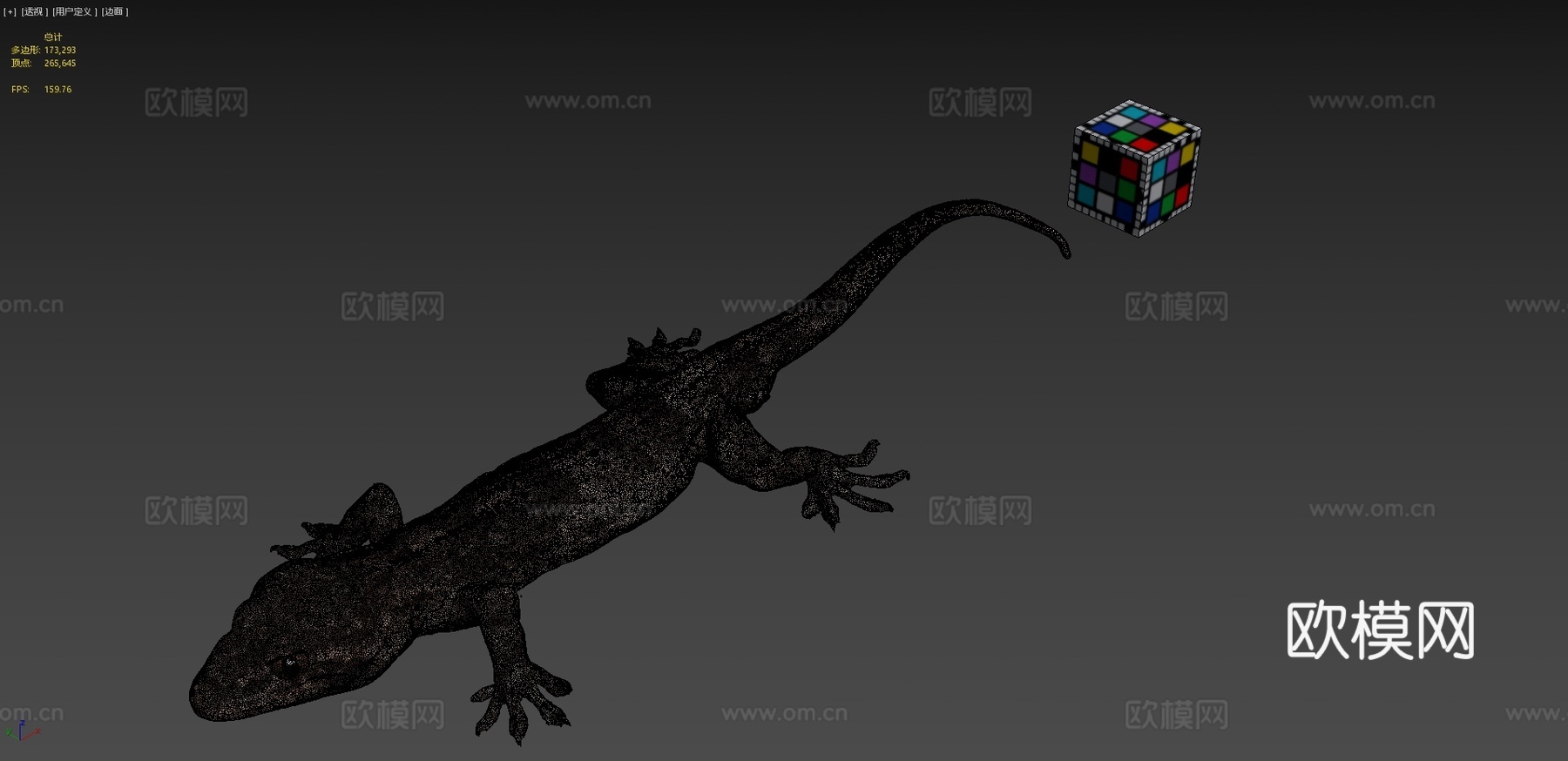 CC0日本壁虎3d模型下载（渲染图4）