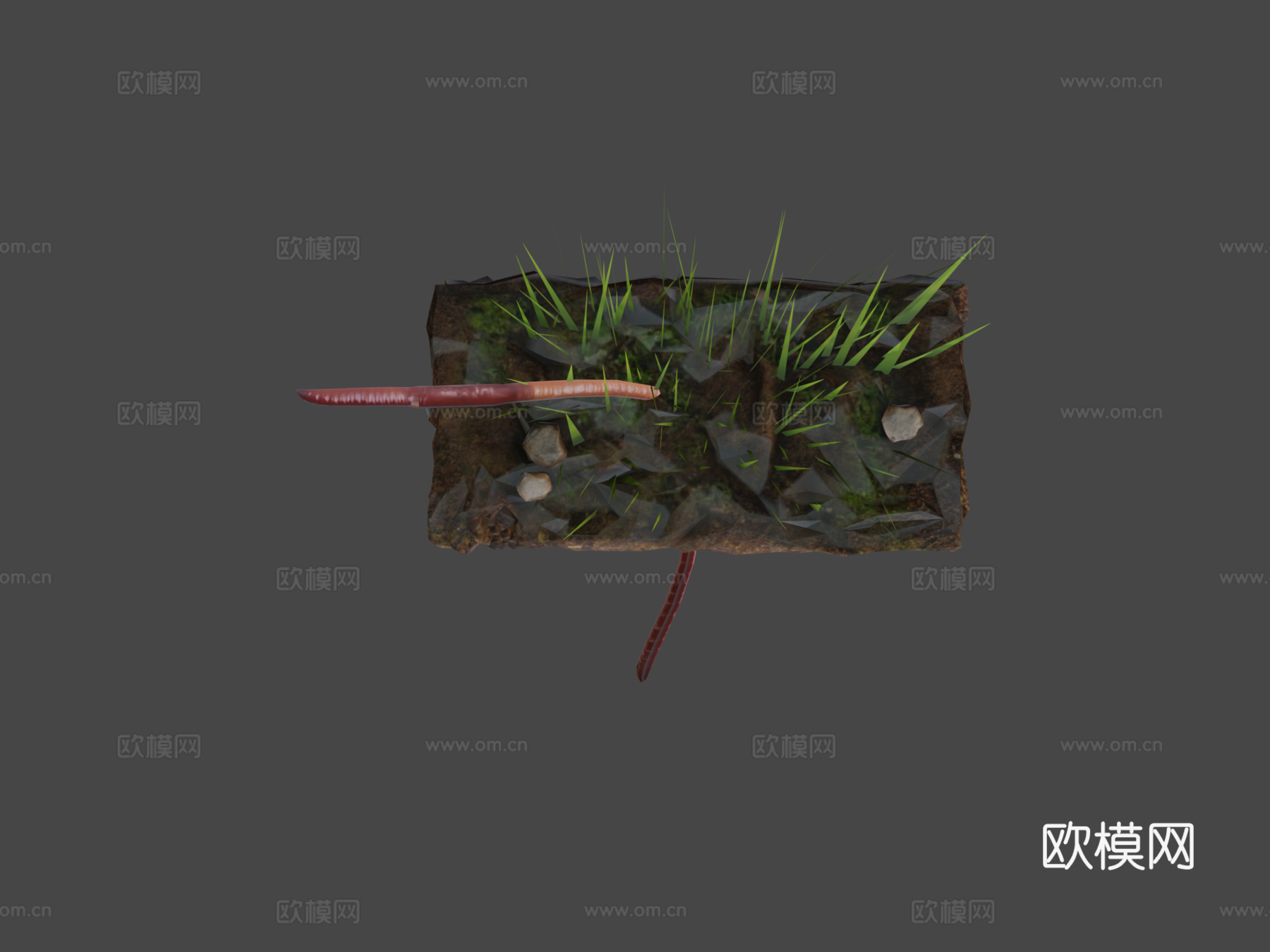 蚯蚓3d模型下载（渲染图5）