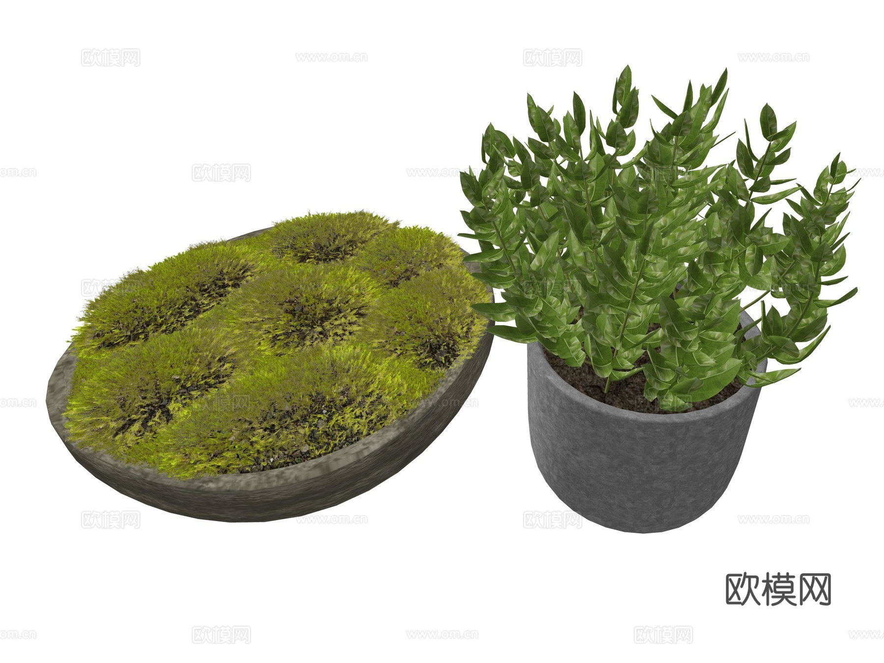 现代盆栽植物su模型