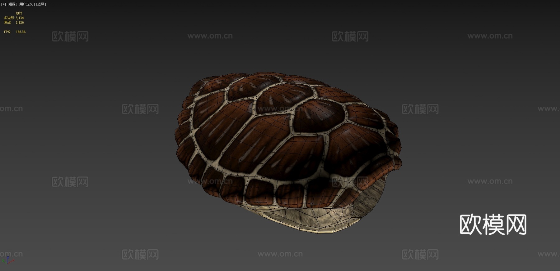 绿海龟3d模型下载（渲染图4）