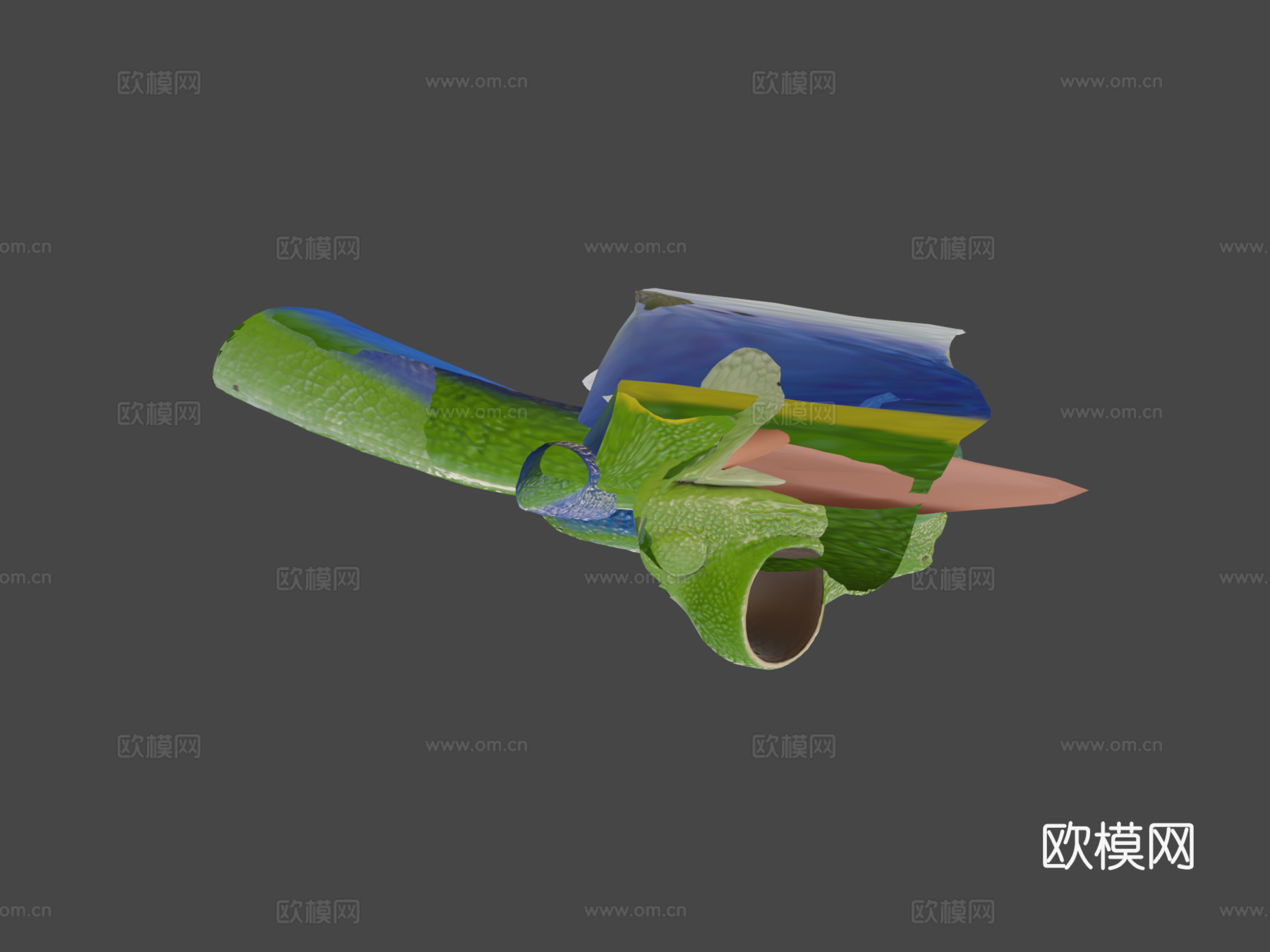 红眼树蛙3d模型下载（渲染图5）