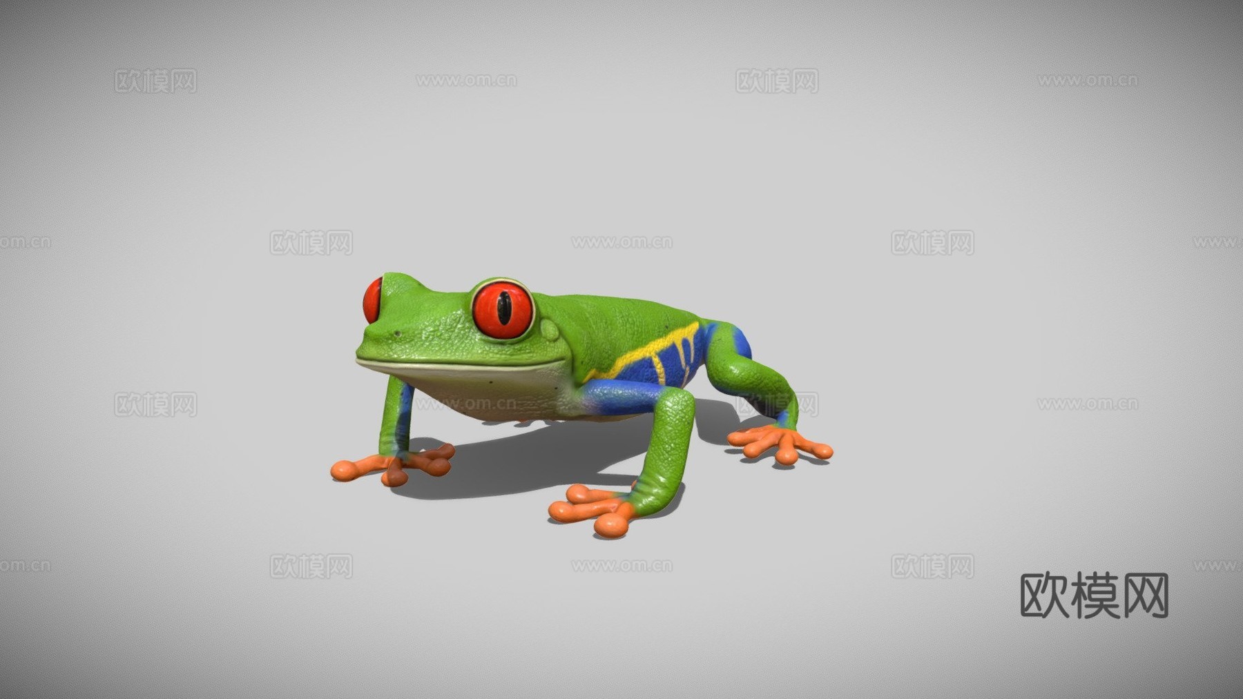 红眼树蛙3d模型下载（渲染图1）