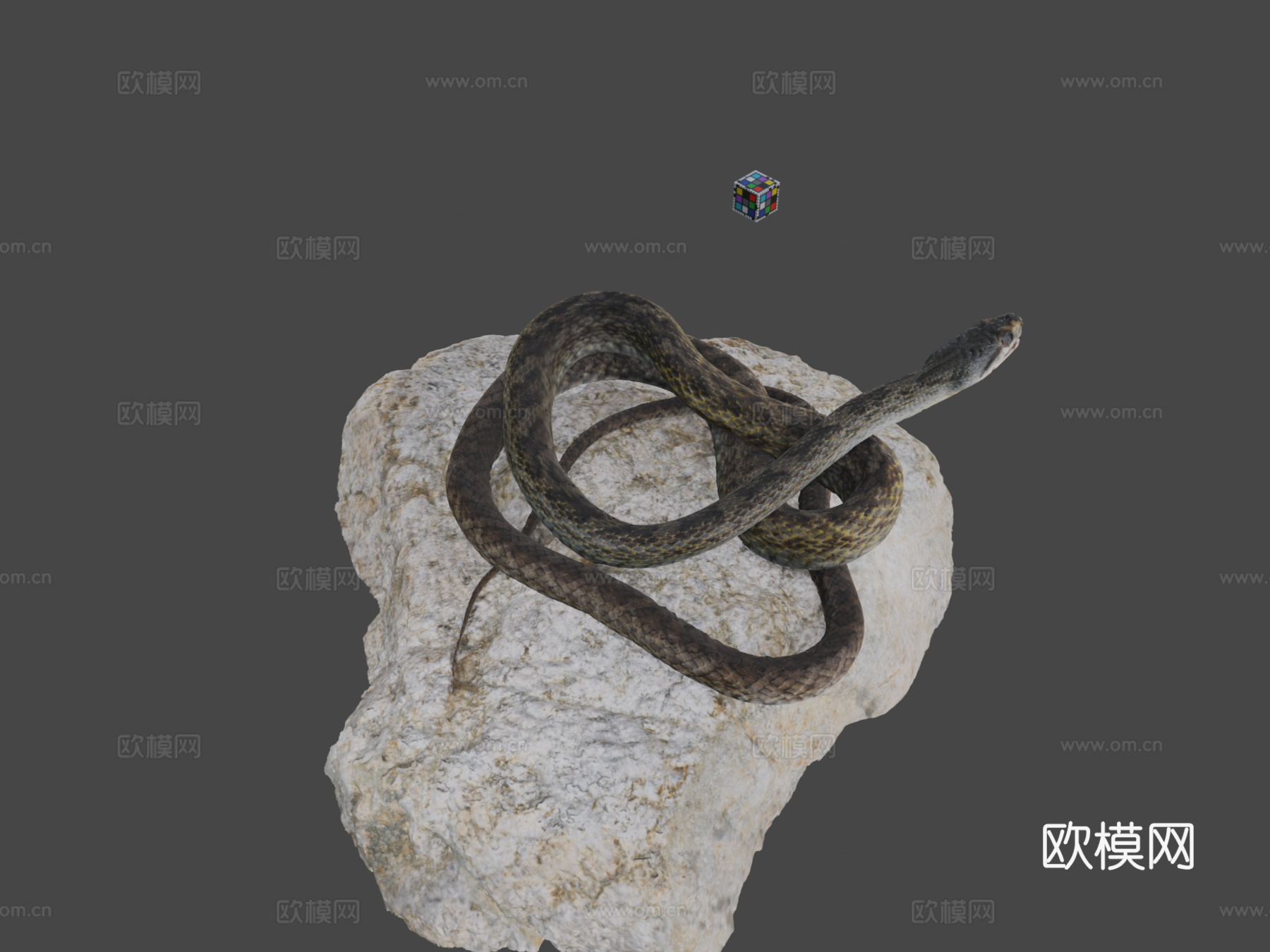 CC0日本锦蛇?3d模型下载（渲染图1）
