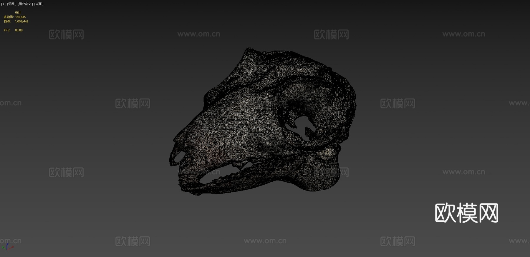 马来飞狐猴头骨3d模型下载（渲染图4）