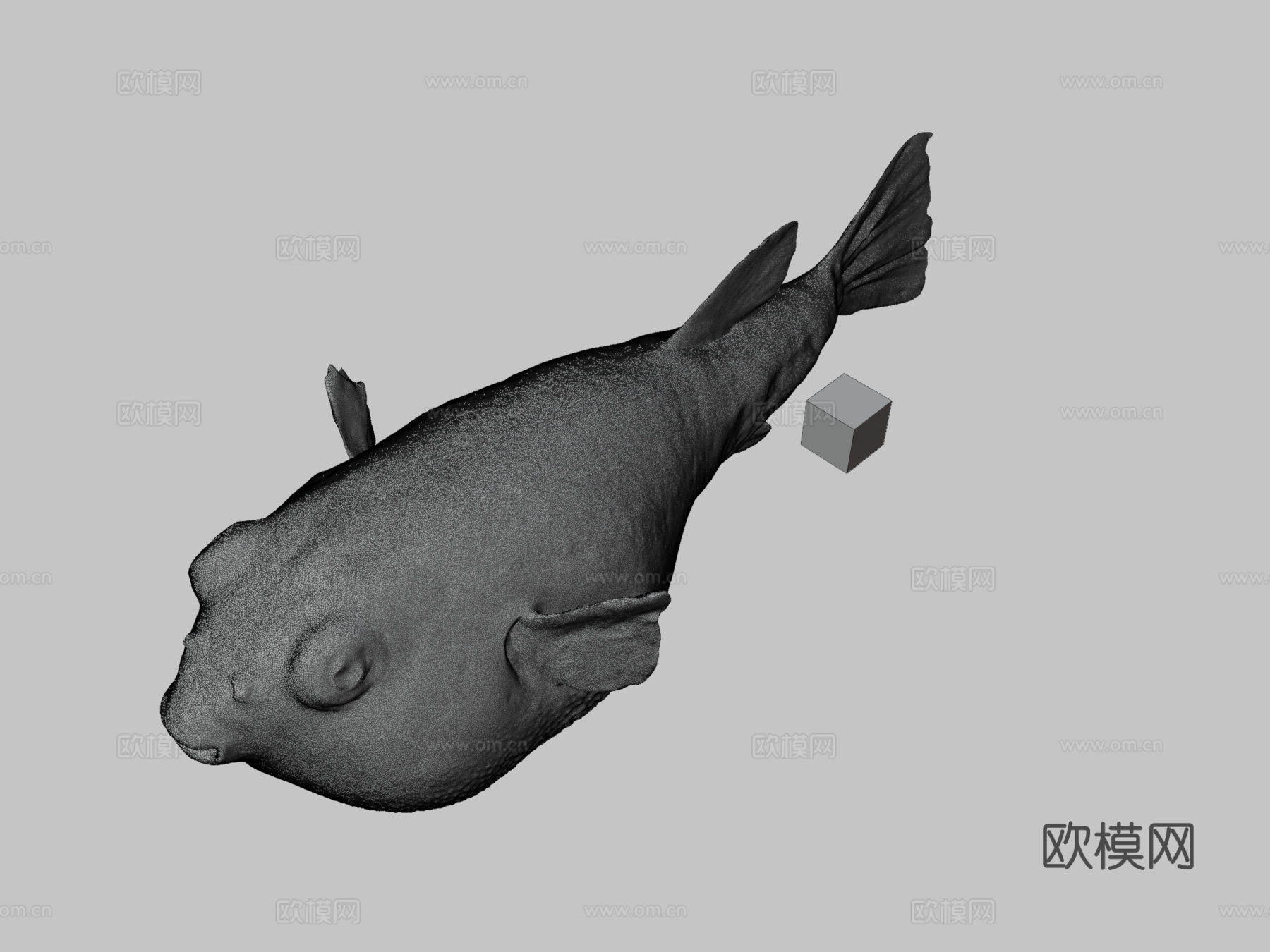 CC0草河豚?草河豚，红鳍东方鲀3d模型下载（渲染图3）