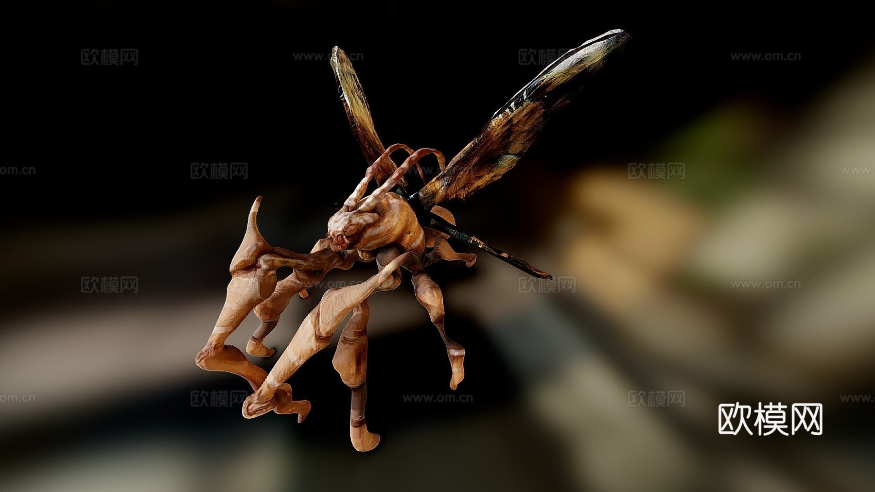蛾类生物3d模型下载（渲染图1）