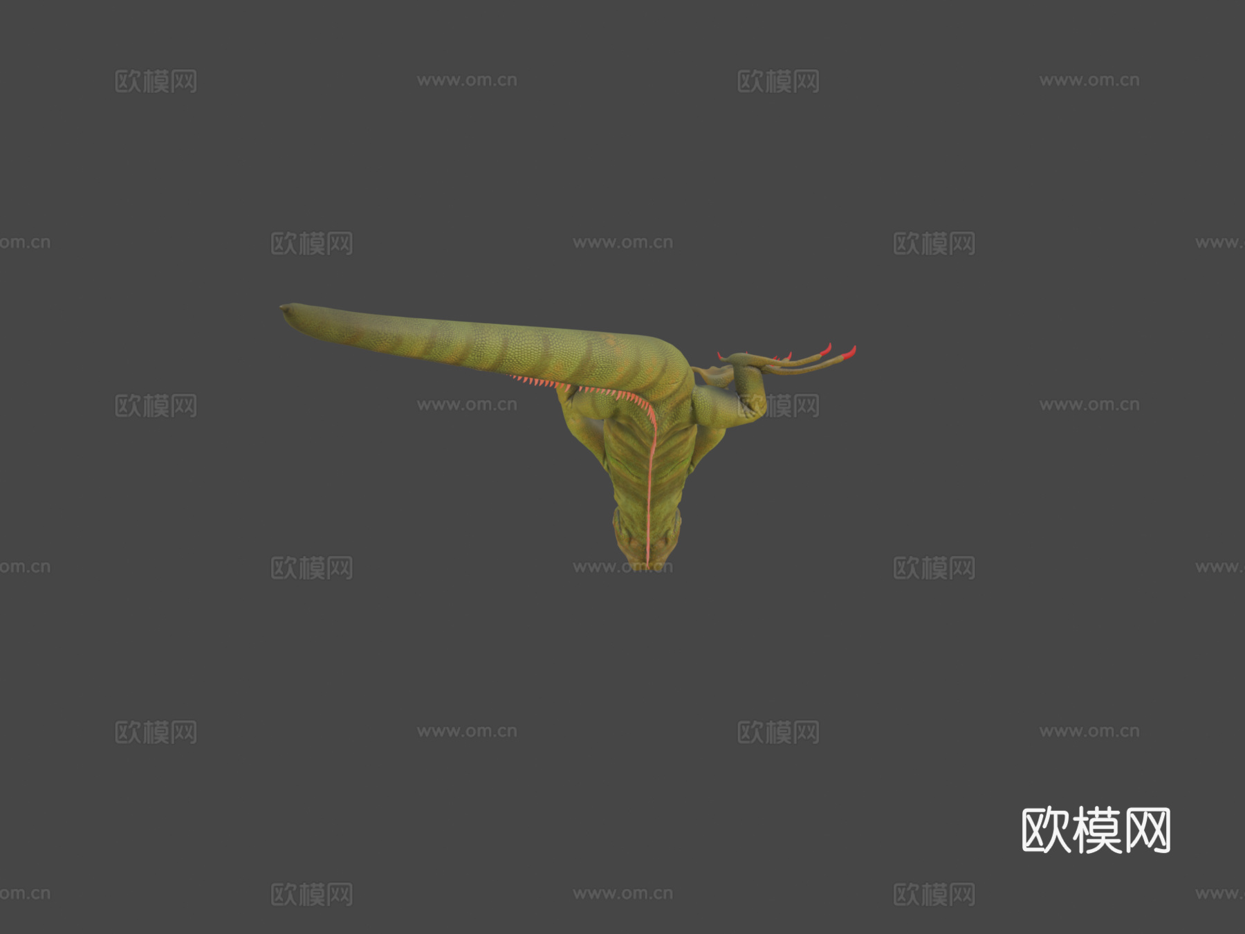鬣蜥3d模型下载（渲染图5）