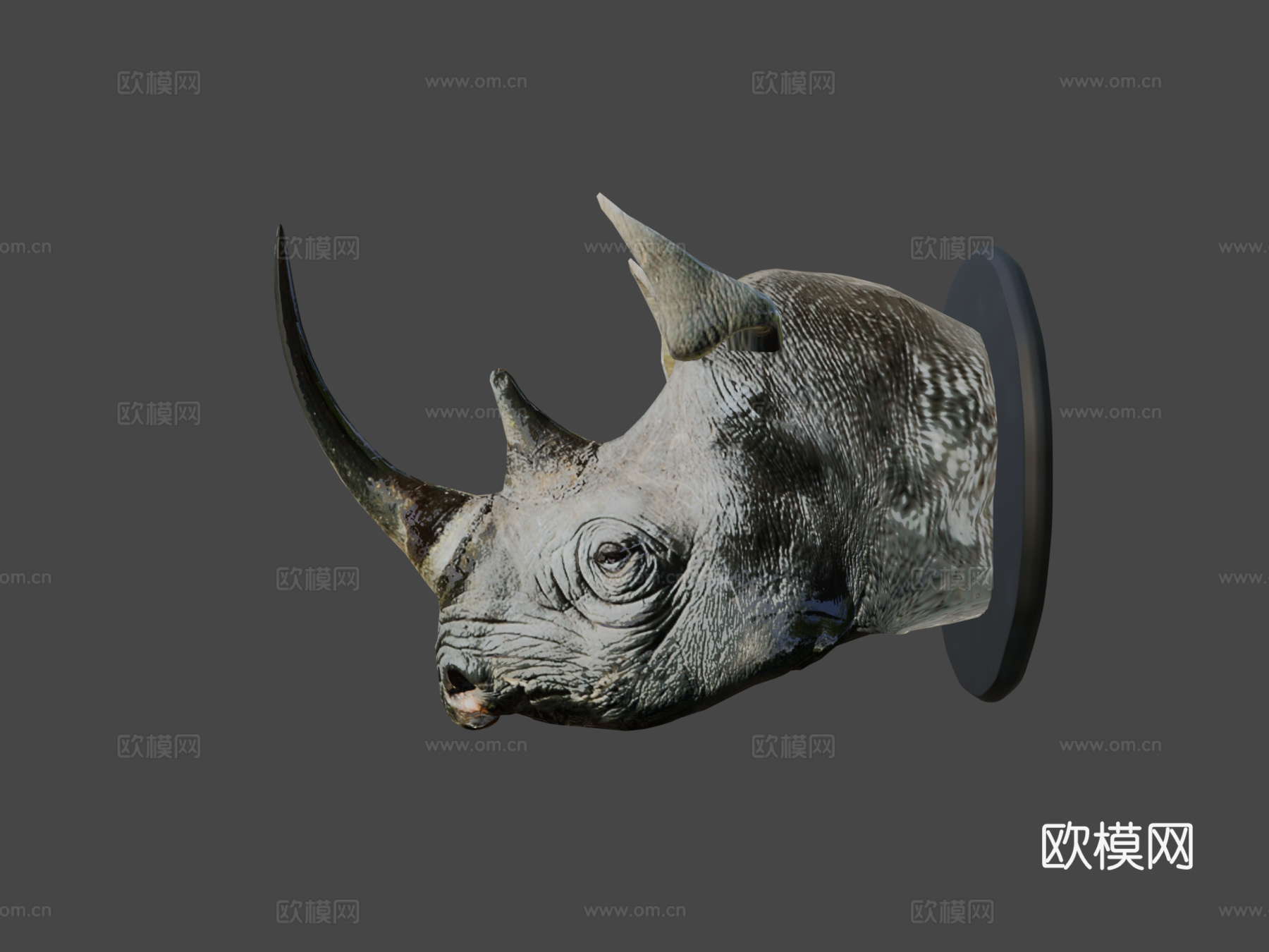 犀牛头部3d模型下载（渲染图7）