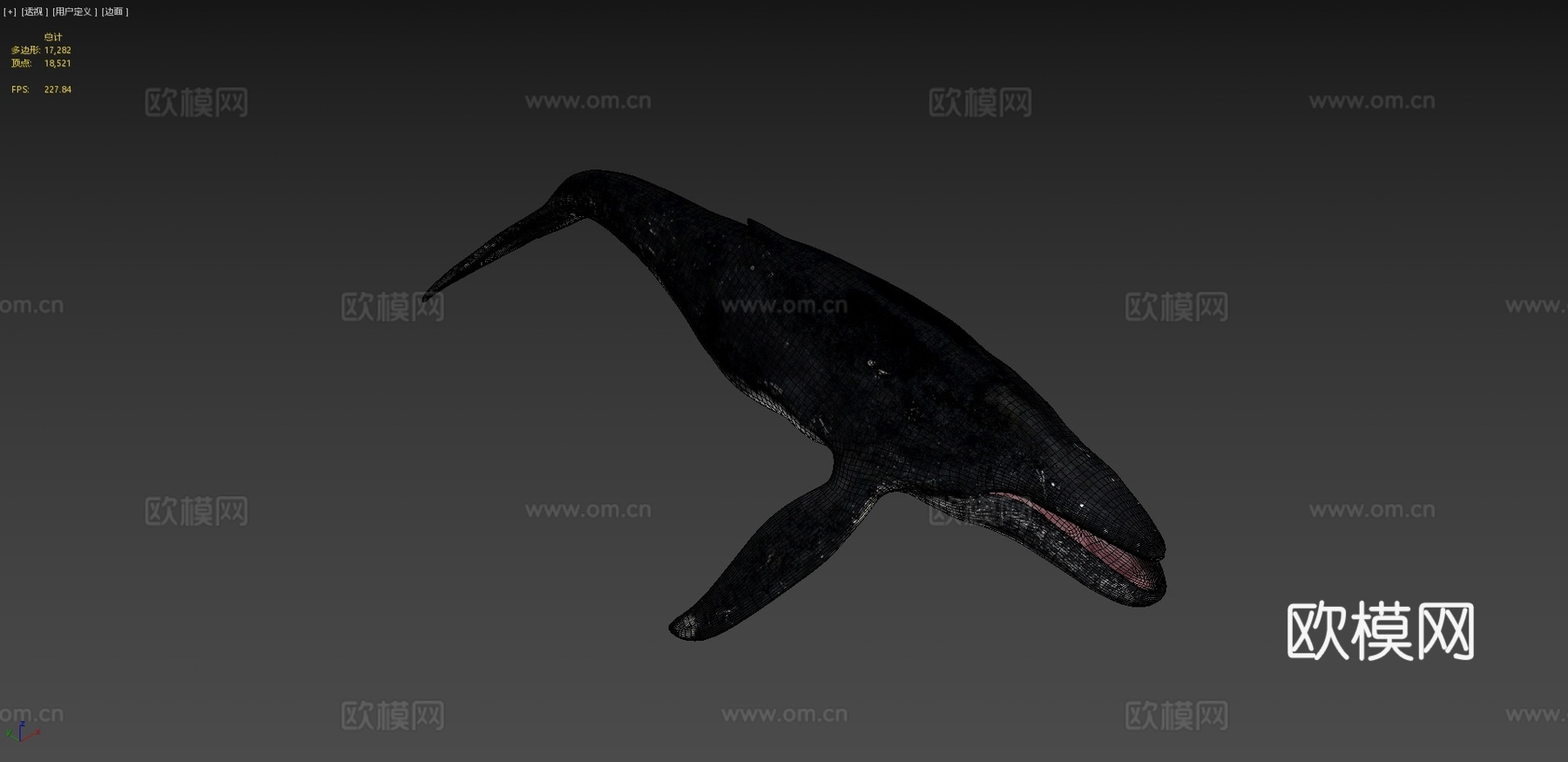 座头鲸绑定3d模型下载（渲染图4）