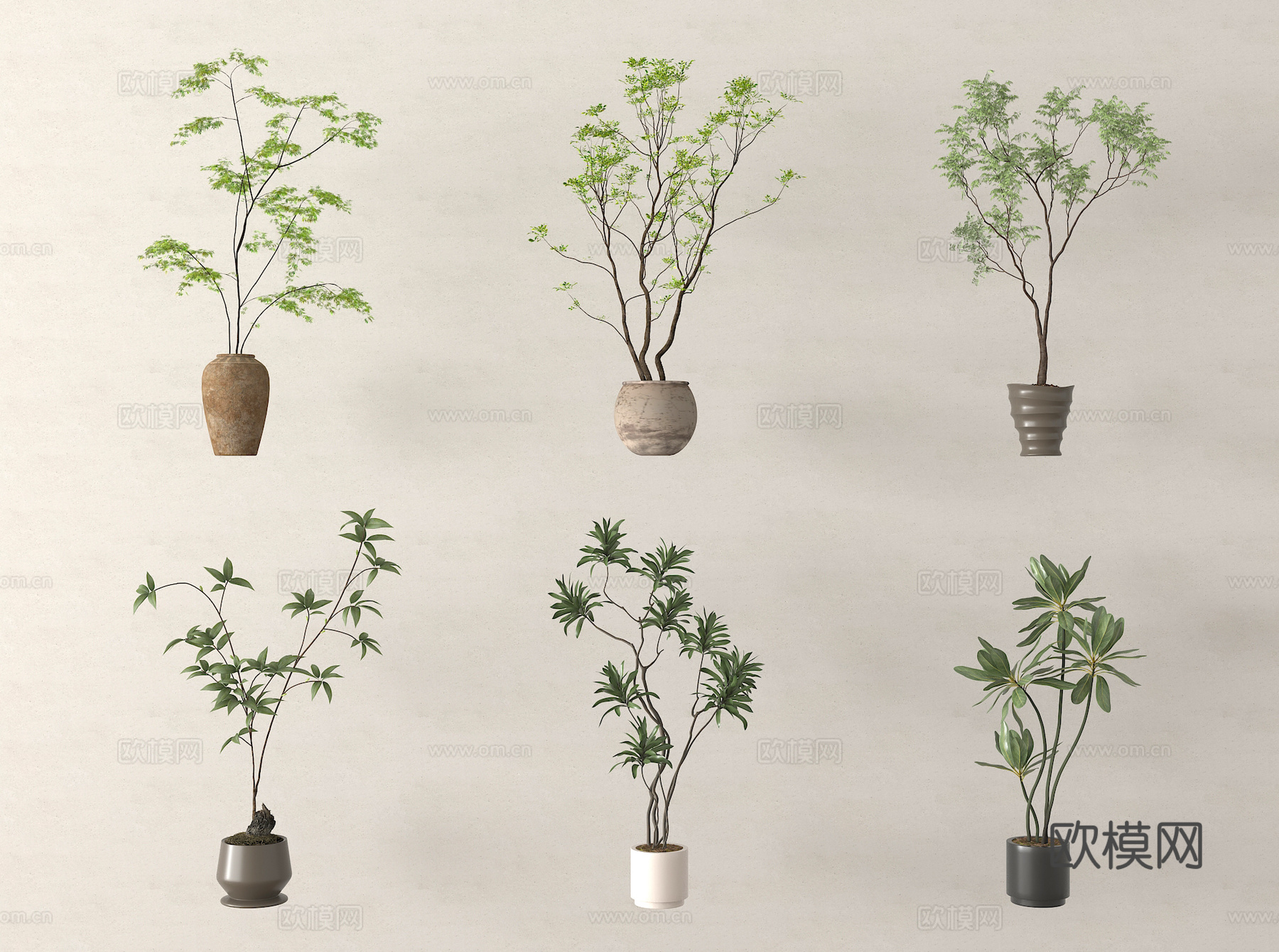 家居绿植盆栽  盆栽盆景su模型su模型
